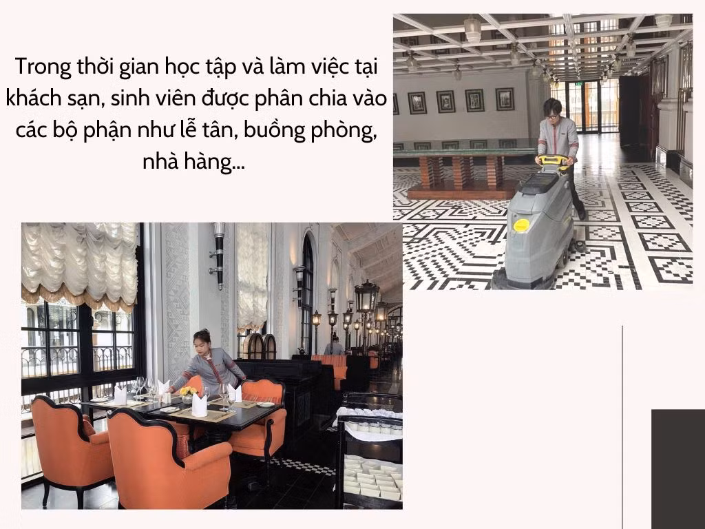 Đổi mới trong đào tạo nhân lực du lịch chất lượng cao ảnh 3 Đổi mới trong đào tạo nhân lực du lịch chất lượng cao ảnh 3