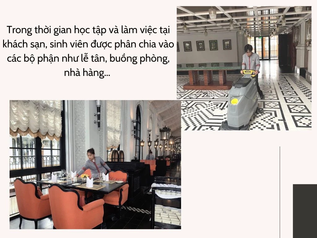 Đổi mới trong đào tạo nhân lực du lịch chất lượng cao ảnh 3