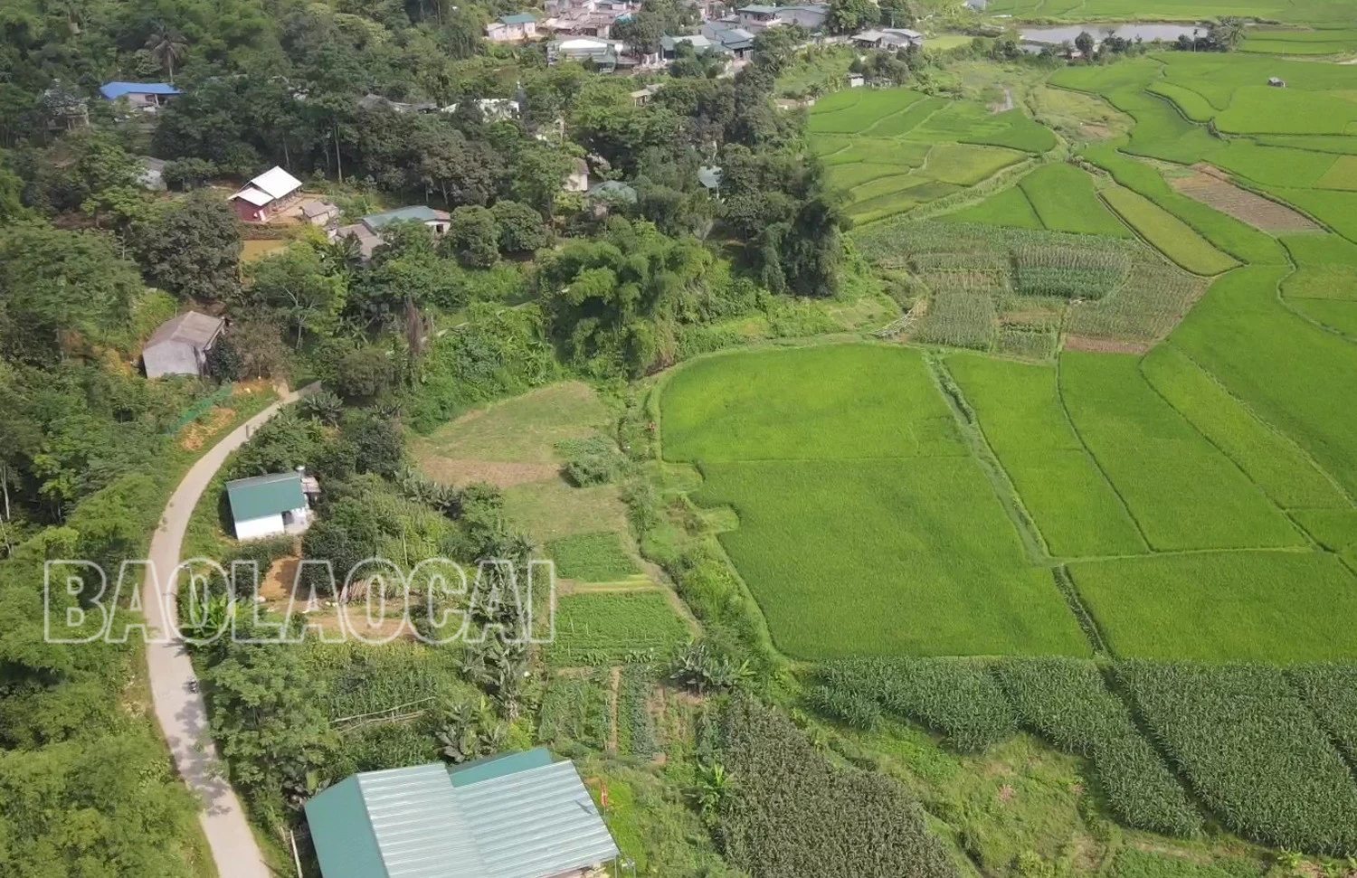 Bát Xát: Đầu tư gần 450 tỷ đồng nâng cấp, cải tạo, mở rộng 8 tuyến đường giao thông ảnh 1