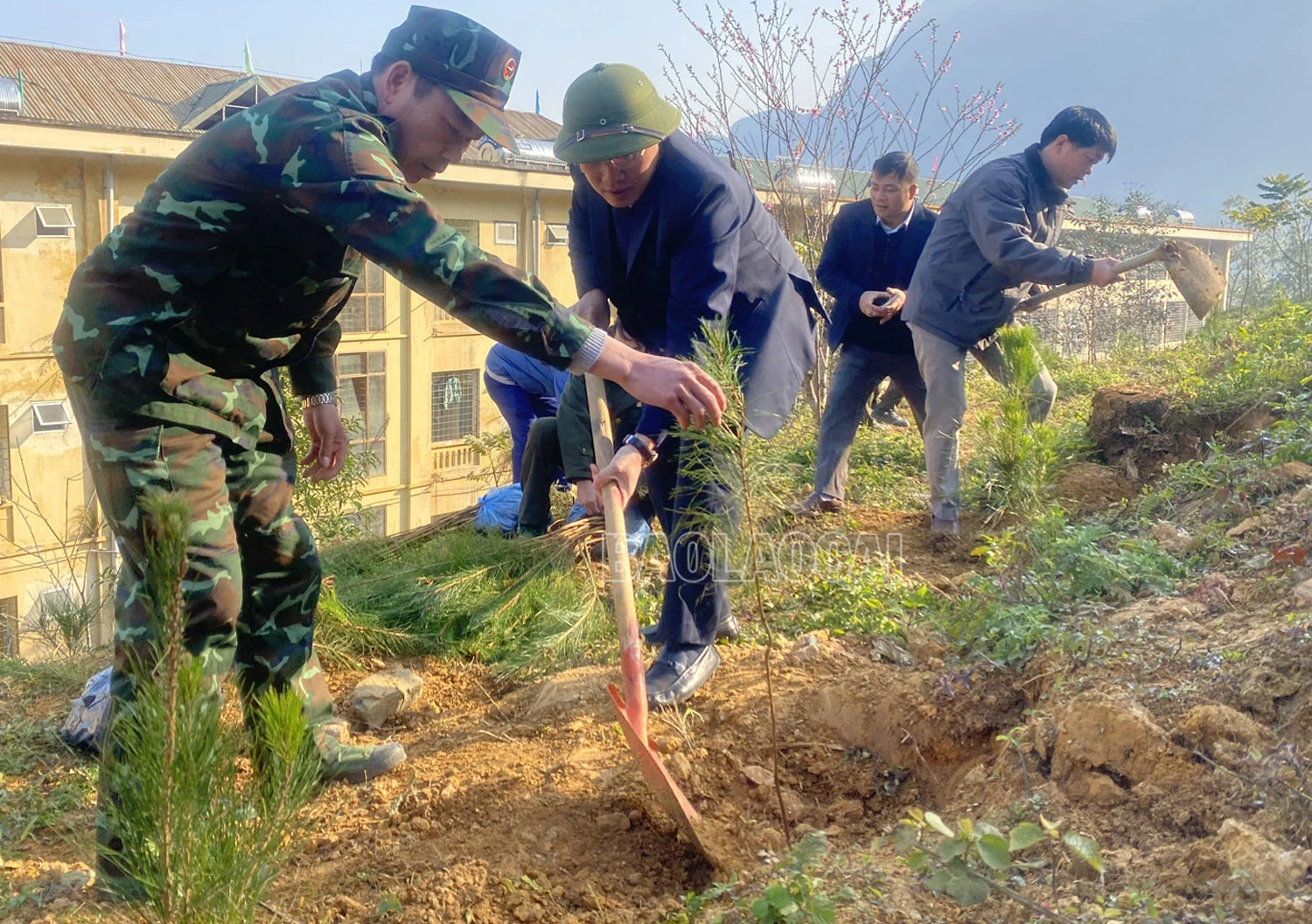 Huyện Si Ma Cai ra quân trồng cây phân tán.