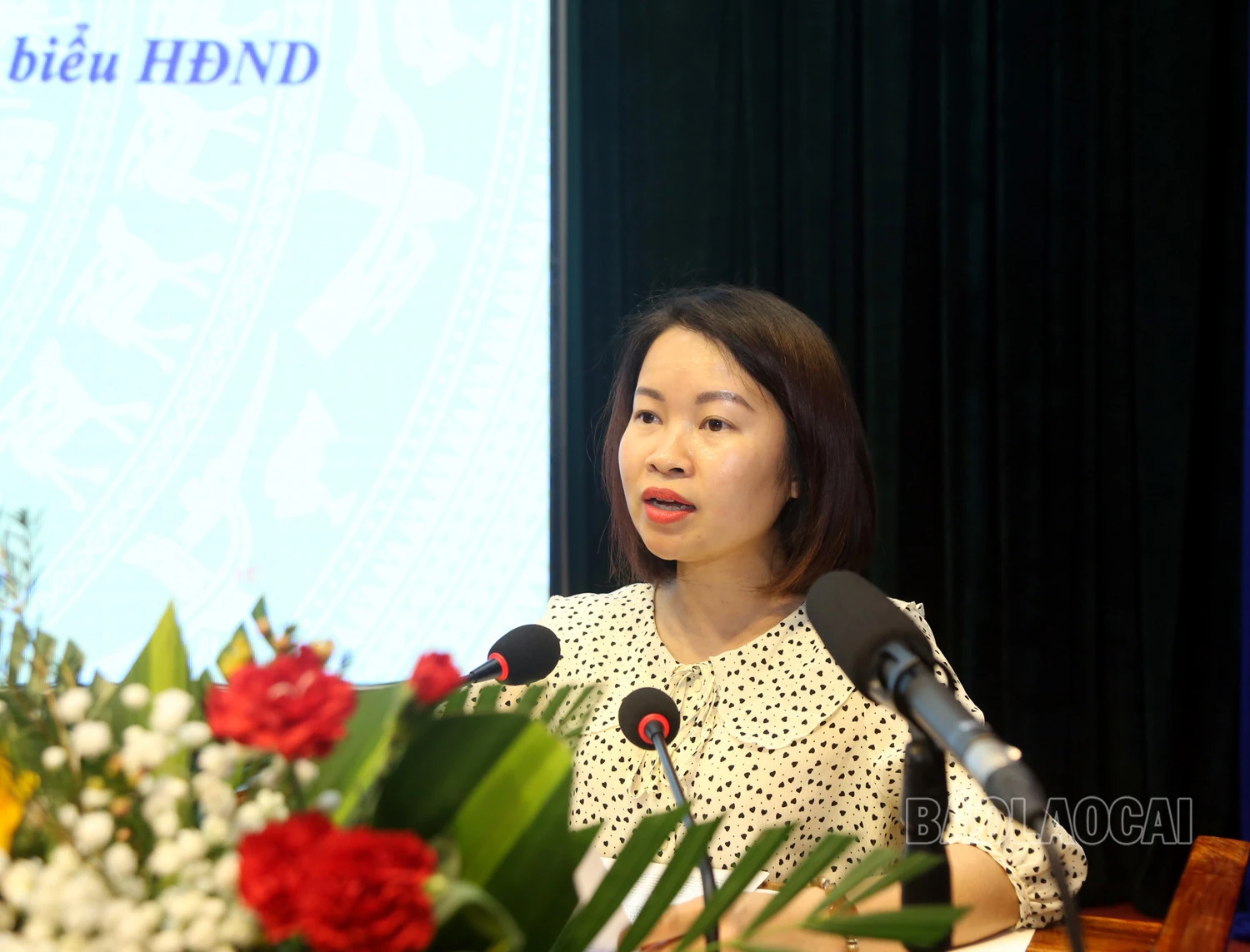 Bàn giải pháp nâng cao chất lượng hoạt động của đại biểu HĐND các cấp ảnh 4