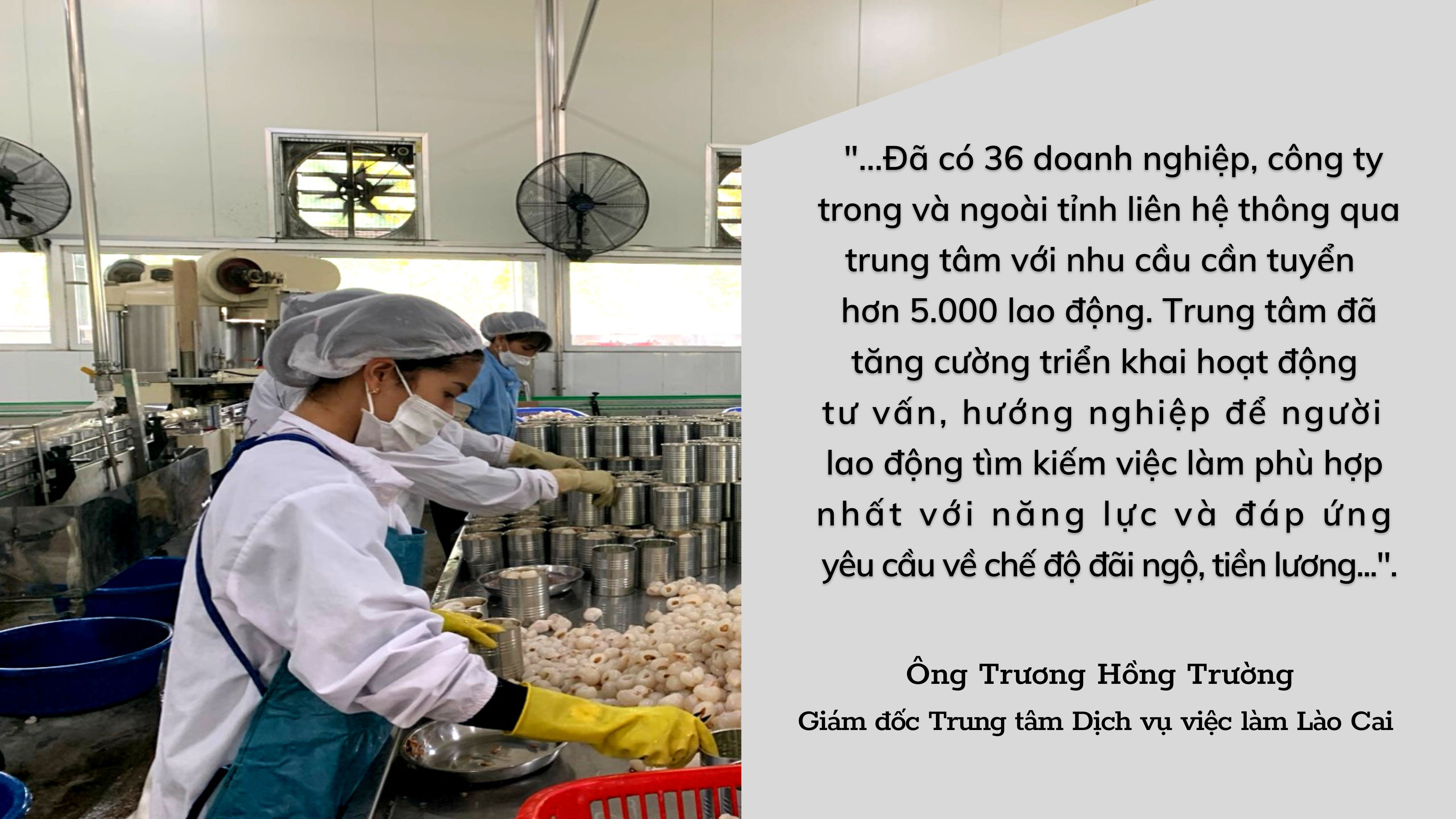 Sôi động thị trường lao động, việc làm ảnh 3 Sôi động thị trường lao động, việc làm ảnh 3