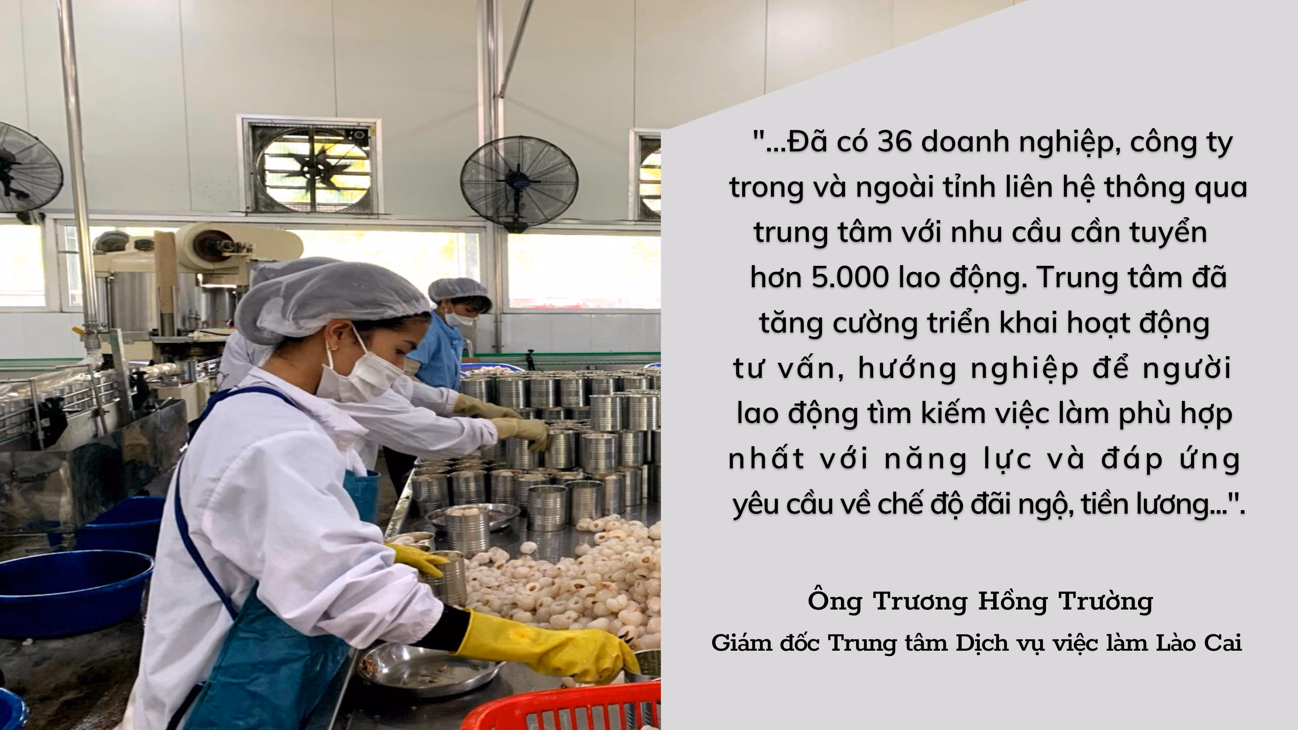 Sôi động thị trường lao động, việc làm ảnh 3 Sôi động thị trường lao động, việc làm ảnh 3