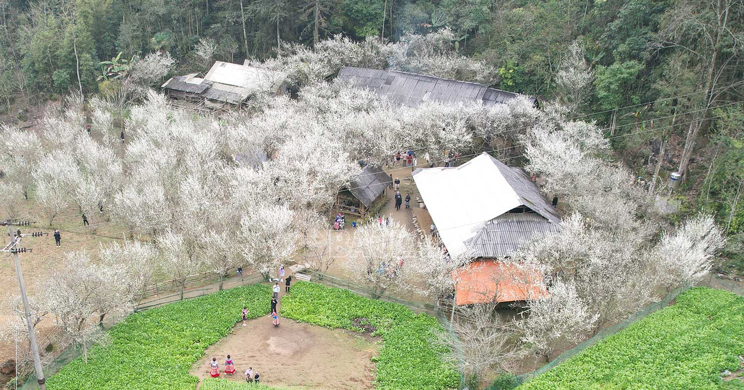 Một điểm check-in đẹp tại thôn Lả Dì Thàng, xã Tả Van Chư.