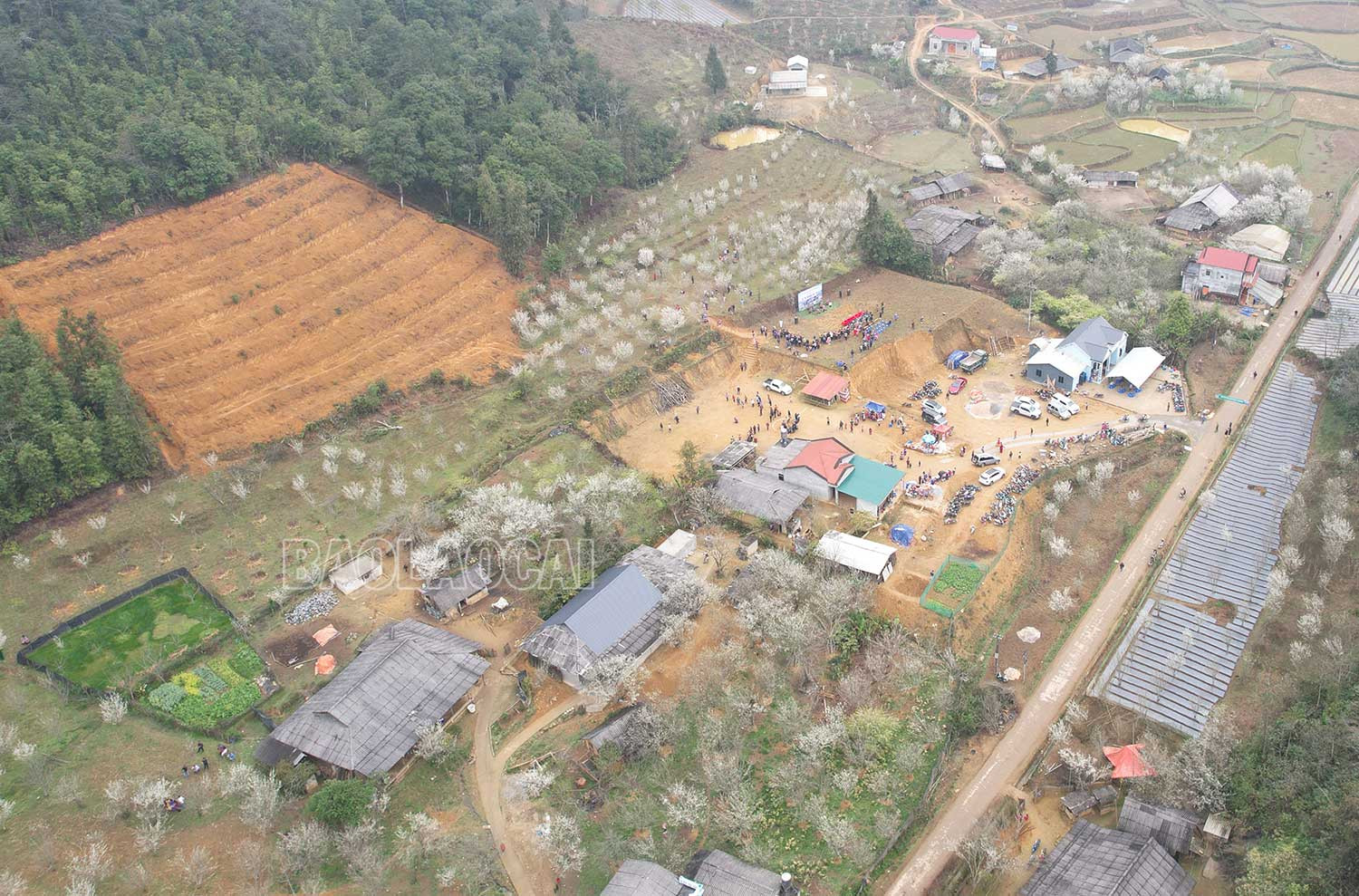 Thôn Lả Dì Thàng - nơi diễn ra Lễ khai mạc Chương trình “Sắc mận cao nguyên trắng”.
