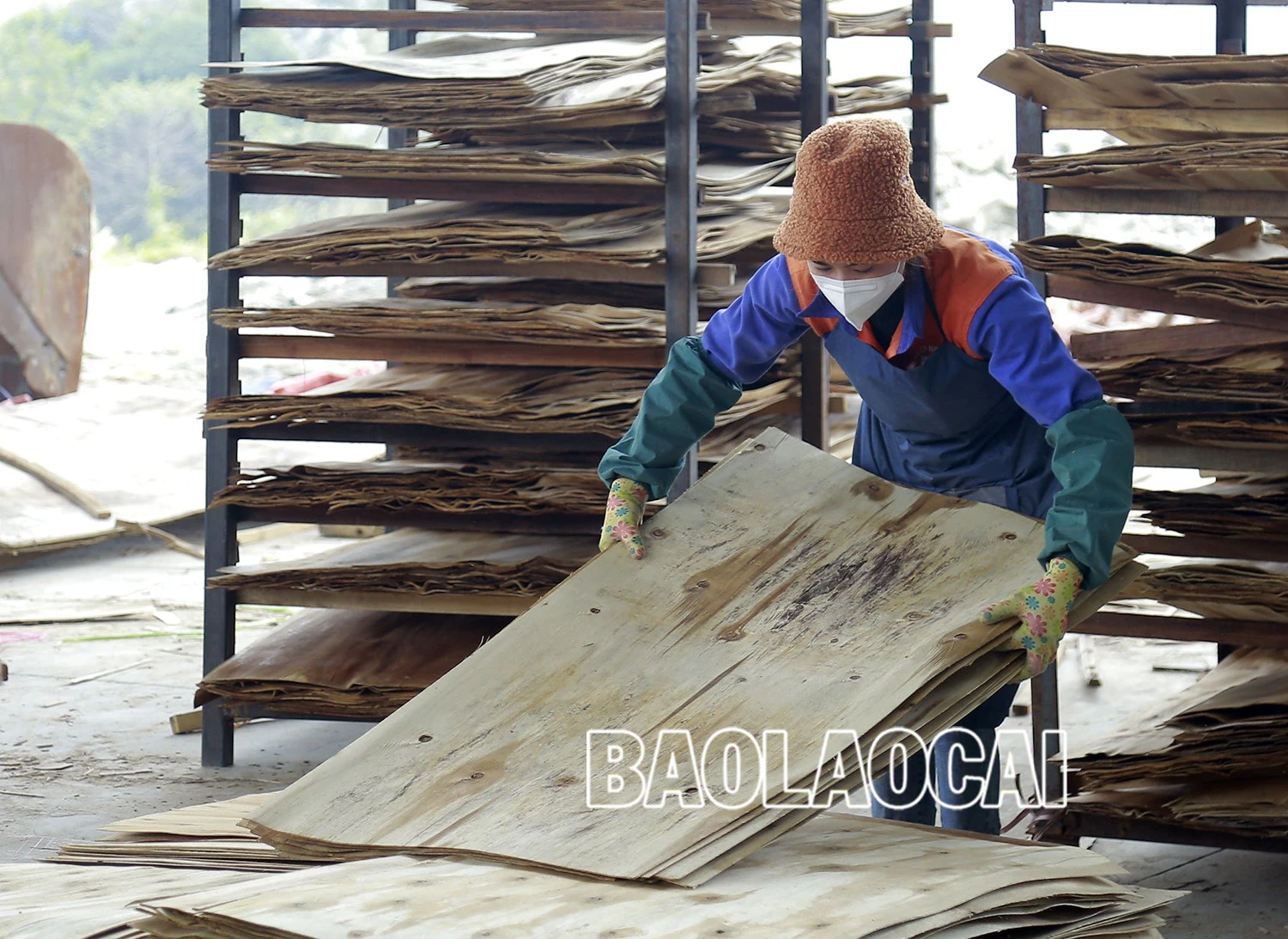 Vẻ đẹp dung dị của phụ nữ Lào Cai trong lao động ảnh 3