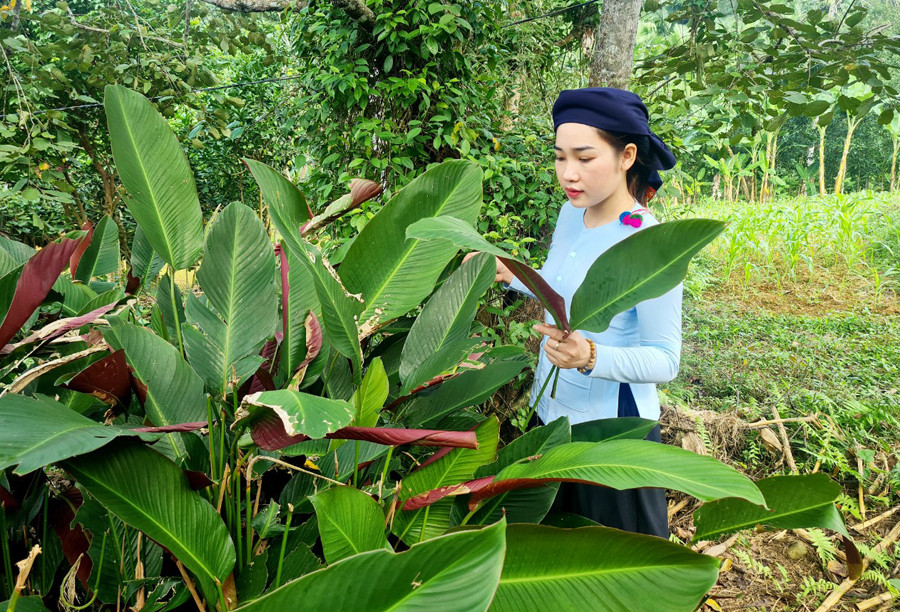 Đồng bào vùng cao rộn ràng chuẩn bị đón Tết ảnh 5