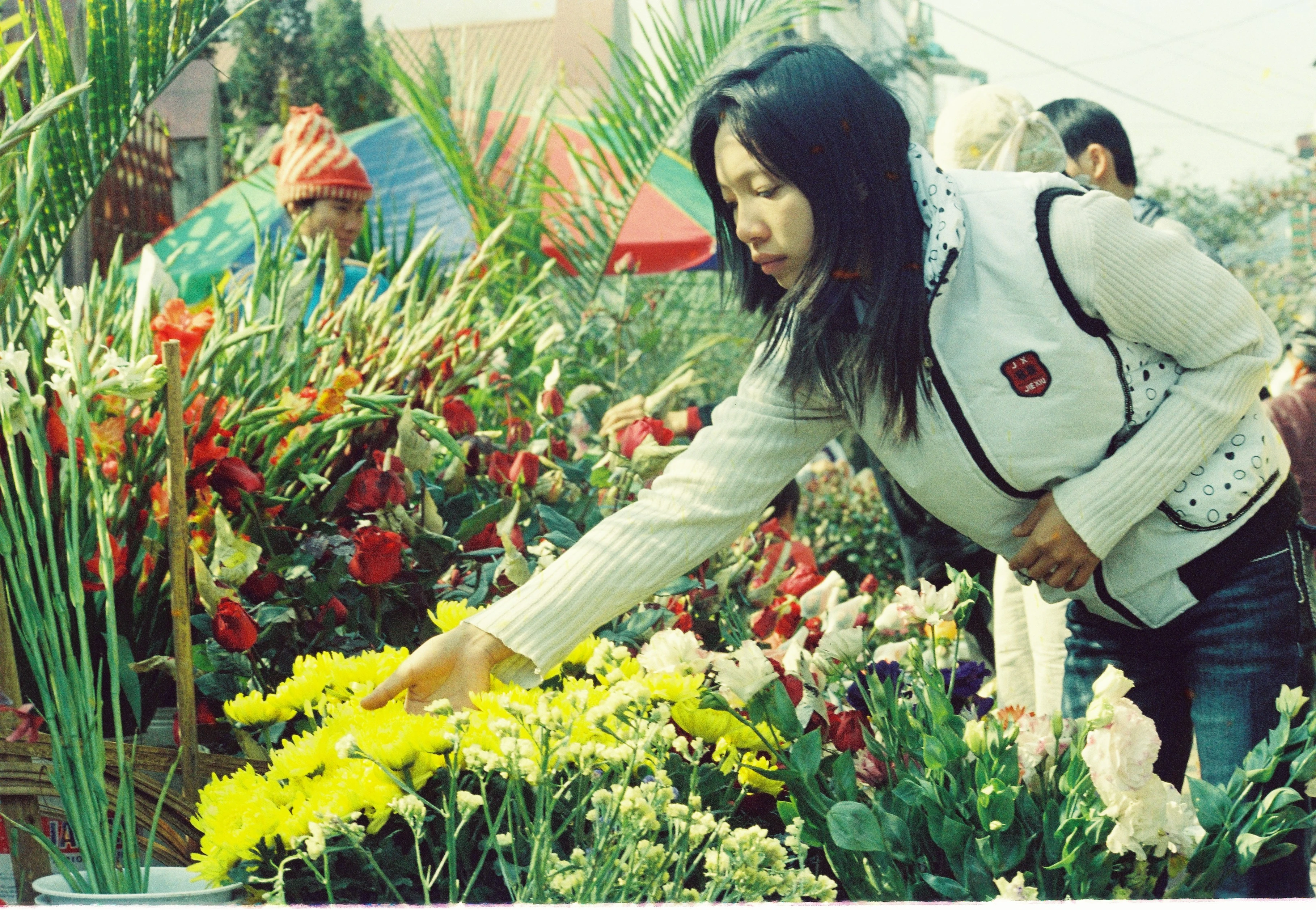 Chọn mua hoa bày tết ở chợ Cốc Lếu. Trầu cau, vàng hương bày bán ở chợ Cốc Lếu. Đào cảnh đưa từ miền xuôi lên bày bán ở chợ Cốc Lếu. Chọn mua hoa đào do người dân Sa Pa mang bán ở đường Hoàng Liên, phường Kim Tân. Người dân Sa Pa dùng xe Min-khơ chở cành đào xuống khu vực cầu số 4 Kim Tân bán. Đào tết bày bán trước cửa Bưu điện Kim Tân. Đông vui chợ xuân Cốc Lếu. Hoa đào bán ở chợ Cốc Lếu. Thiếu nữ Lào Cai đi chợ tết Cốc Lếu 1998. Cam sành đặc sản Lục Yên (Yên Bái) có mặt trong chợ tết Cốc Lếu.