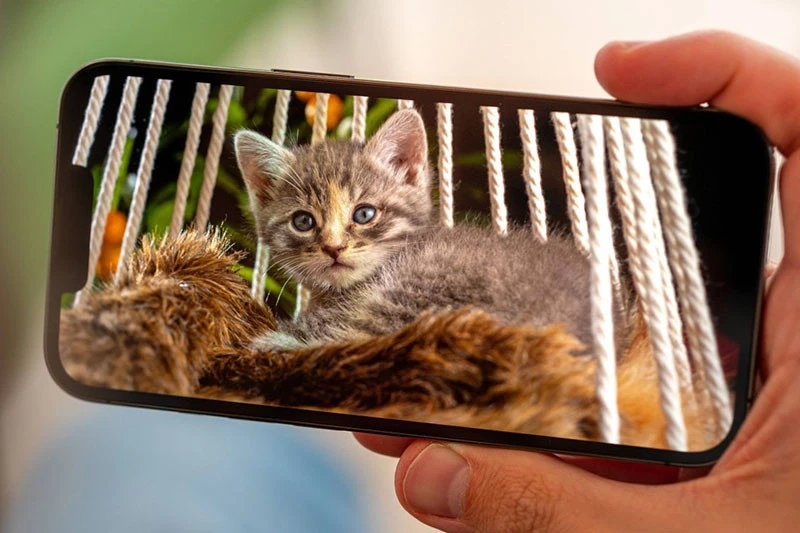 Có nên mua iPhone 13 Pro cũ? - Đánh giá tính năng và giá trị ảnh 2