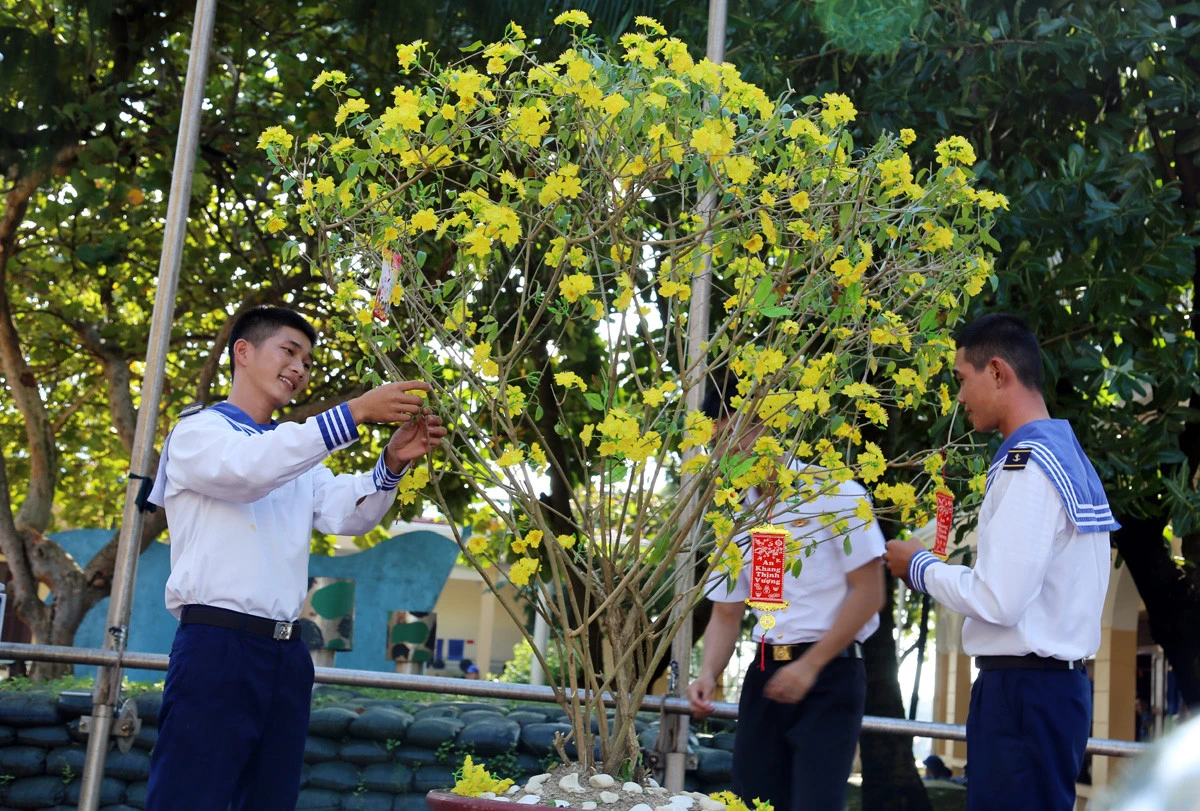 Xuồng CQ vận chuyển hàng tết từ tàu KN490 vào đảo. Chiến sỹ đảo Sinh Tồn trồng quýt cảnh và trang trí cây mai chuẩn bị đón tết Quý Mão.