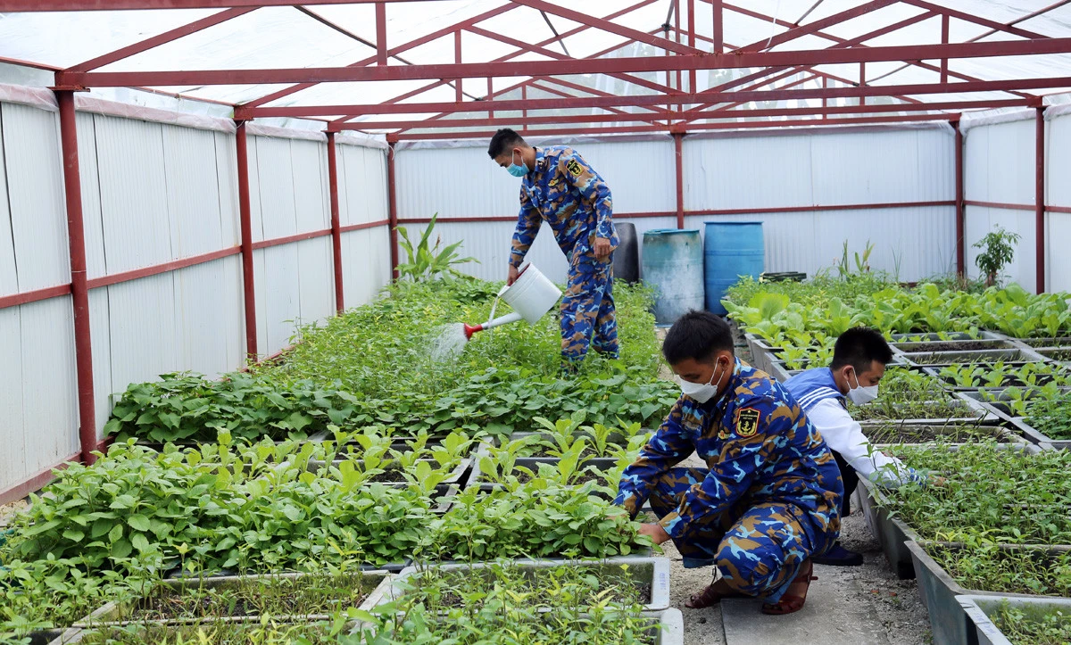 Cán bộ, chiến sỹ đảo Sinh Tồn Đông đón đoàn công tác của Lữ đoàn 146 lên thăm và chúc Tết Nguyên đán Quý Mão 2023. Cán bộ, chiến sỹ đảo Sinh Tồn Đông vận chuyển hàng tết từ cầu tàu vào trung tâm đảo. Những cây quất trĩu quả vượt qua bao sóng gió đến với quân, dân đảo Sinh Tồn Đông. Cán bộ, chiến sỹ mới lên đảo trò chuyện. Đoàn công tác của Lữ đoàn 146, Vùng 4 Hải quân gặp mặt, chúc tết cán bộ, chiến sỹ trên đảo Sinh Tồn Đông. Lãnh đạo Lữ đoàn 146 trao quà tết cho cán bộ, chiến sỹ đảo Sinh Tồn Đông. Chùa Sinh Tồn Đông – cột mốc lịch sử, điểm tựa tinh thần của quân và dân xã đảo Sinh Tồn Đông. Tết này, hệ thống điện gió và điện mặt trời được cải tạo hiện đại hơn để phục vụ quân và dân trên đảo. Vườn rau tăng gia trên đảo. Dù vui xuân, đón tết nhưng nhiệm vụ canh gác bảo vệ biển, đảo vẫn được cán bộ, chiến sỹ Sinh Tồn Đông duy trì đúng quy định.