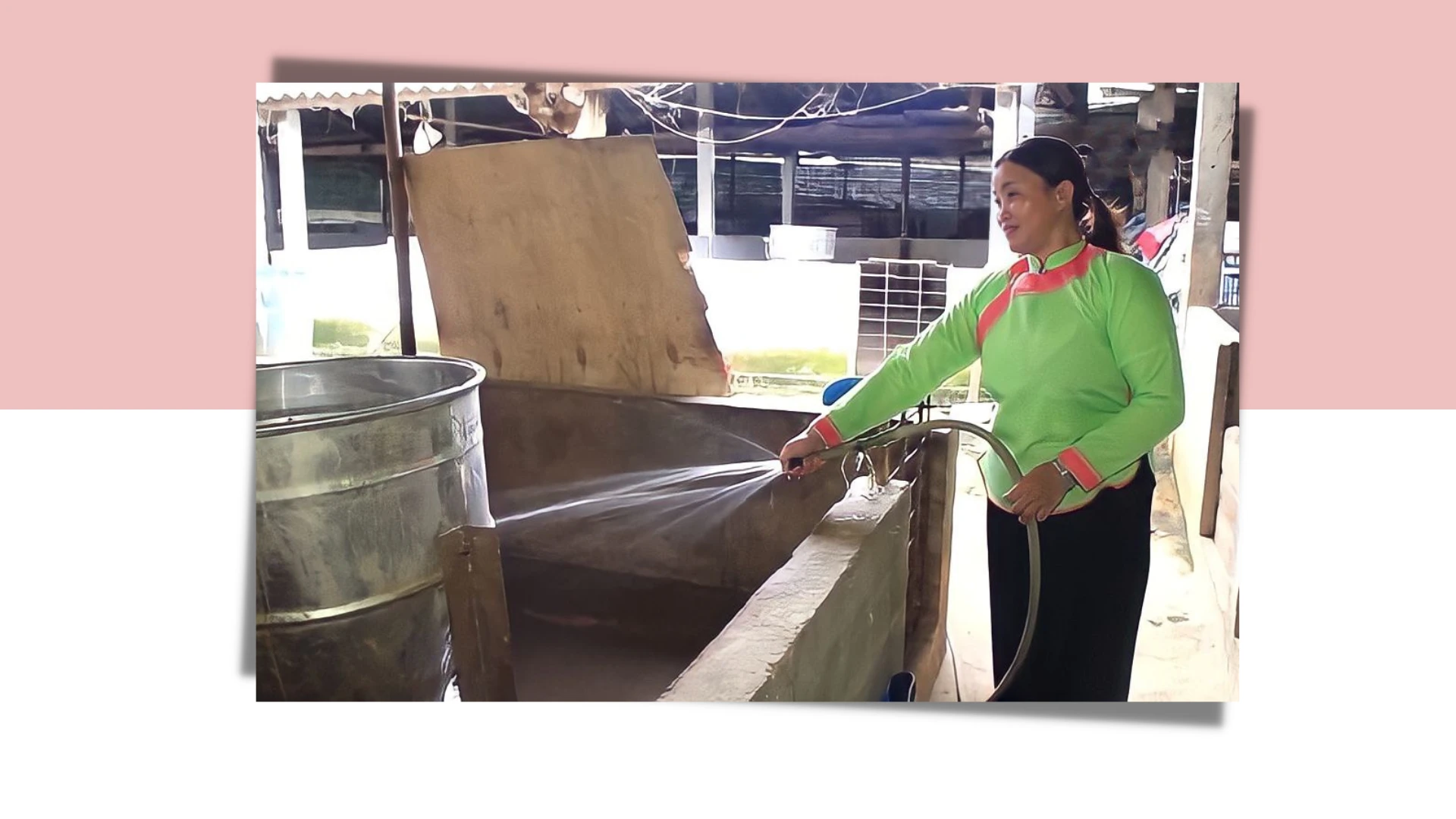 Hai phụ nữ dân tộc thiểu số làm kinh tế giỏi ảnh 3