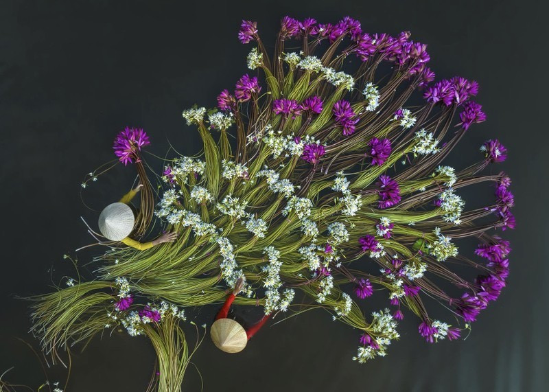 Bức ảnh hai người phụ nữ thu hoạch bông súng mùa nước nổi được nhiếp ảnh gia Khánh Phan. Bức ảnh hai người phụ nữ thu hoạch bông súng mùa nước nổi được nhiếp ảnh gia Khánh Phan.