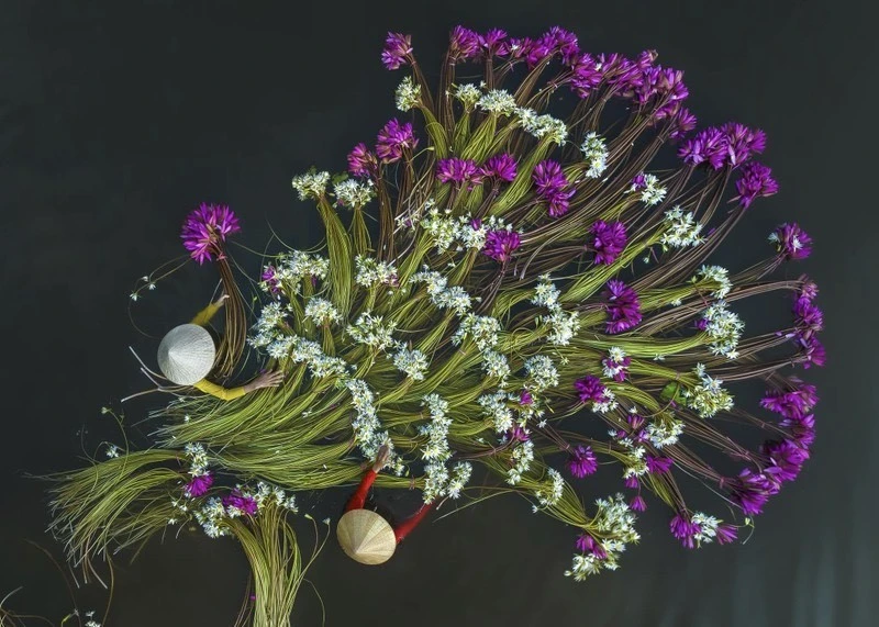 Bức ảnh hai người phụ nữ thu hoạch bông súng mùa nước nổi được nhiếp ảnh gia Khánh Phan. Bức ảnh hai người phụ nữ thu hoạch bông súng mùa nước nổi được nhiếp ảnh gia Khánh Phan.