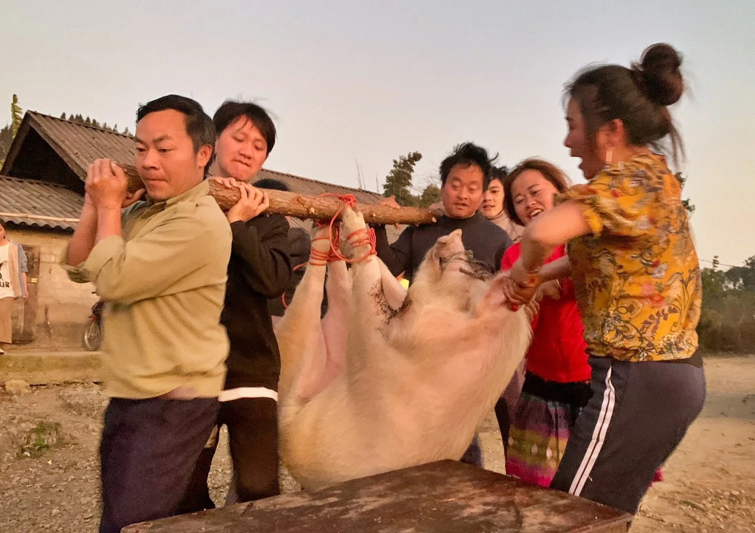  Mổ lợn “đụng” ăn tết - nét văn hóa của người Việt ảnh 1