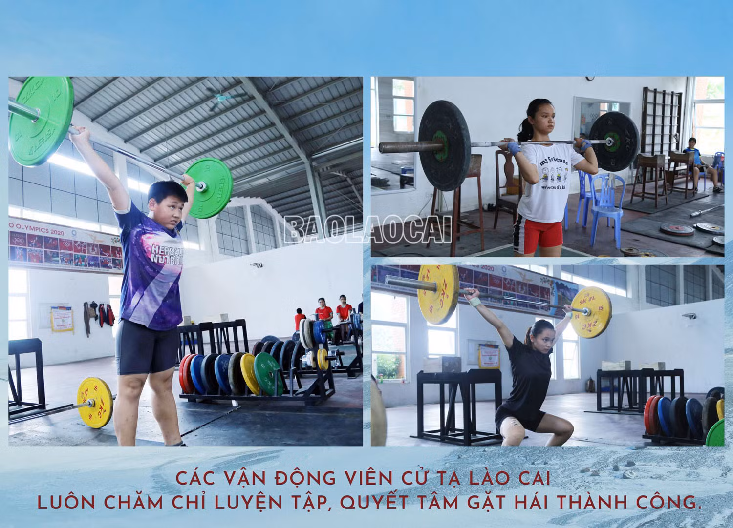 Cử tạ - “mỏ vàng” của thể thao thành tích cao Lào Cai ảnh 1 Cử tạ - “mỏ vàng” của thể thao thành tích cao Lào Cai ảnh 1