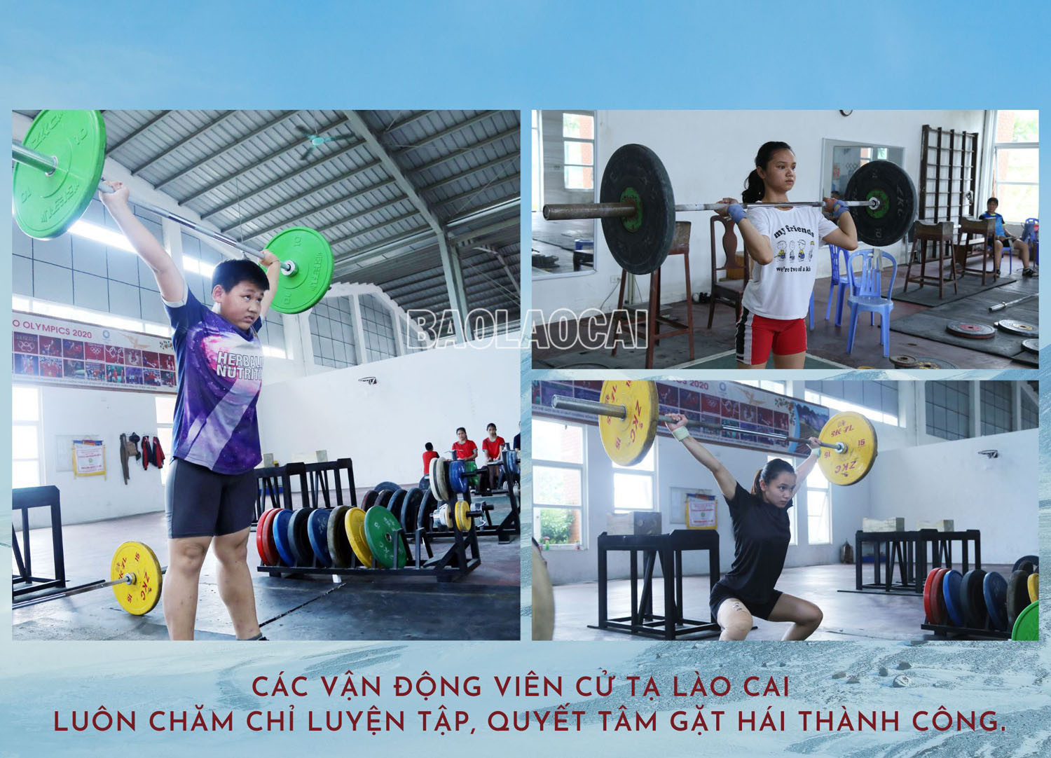 Cử tạ - “mỏ vàng” của thể thao thành tích cao Lào Cai ảnh 1 Cử tạ - “mỏ vàng” của thể thao thành tích cao Lào Cai ảnh 1