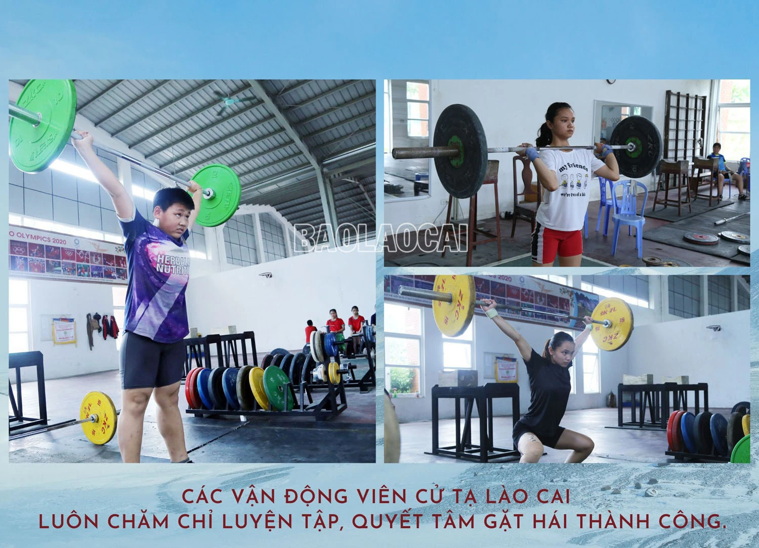 Cử tạ - “mỏ vàng” của thể thao thành tích cao Lào Cai ảnh 1