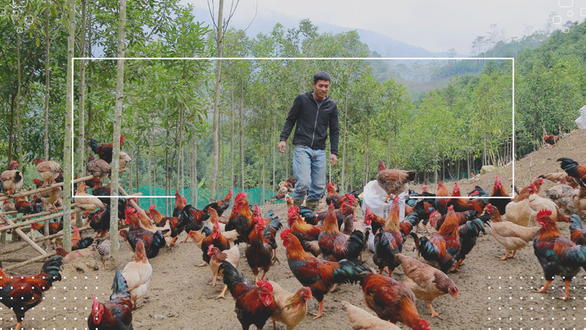 Đặc sản Bảo Yên "cháy hàng" dịp Tết ảnh 1 Đặc sản Bảo Yên "cháy hàng" dịp Tết ảnh 1