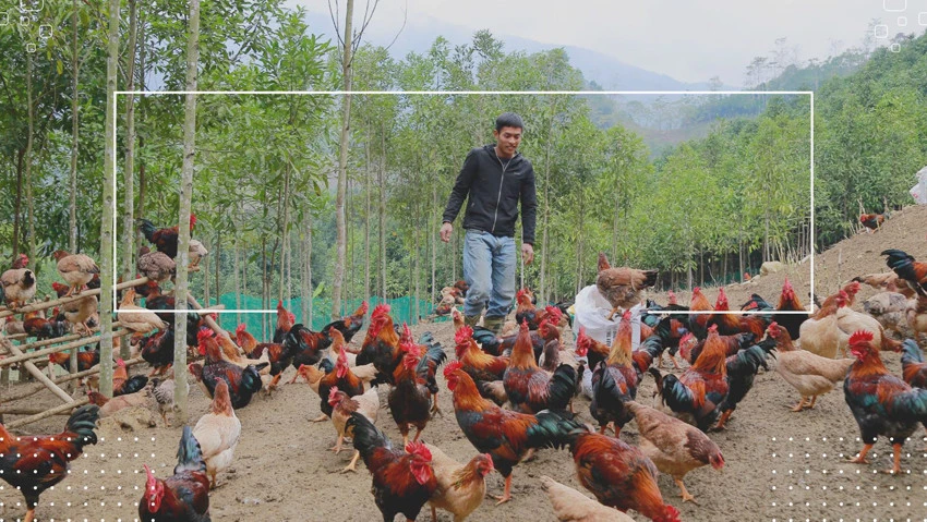 Đặc sản Bảo Yên "cháy hàng" dịp Tết ảnh 1