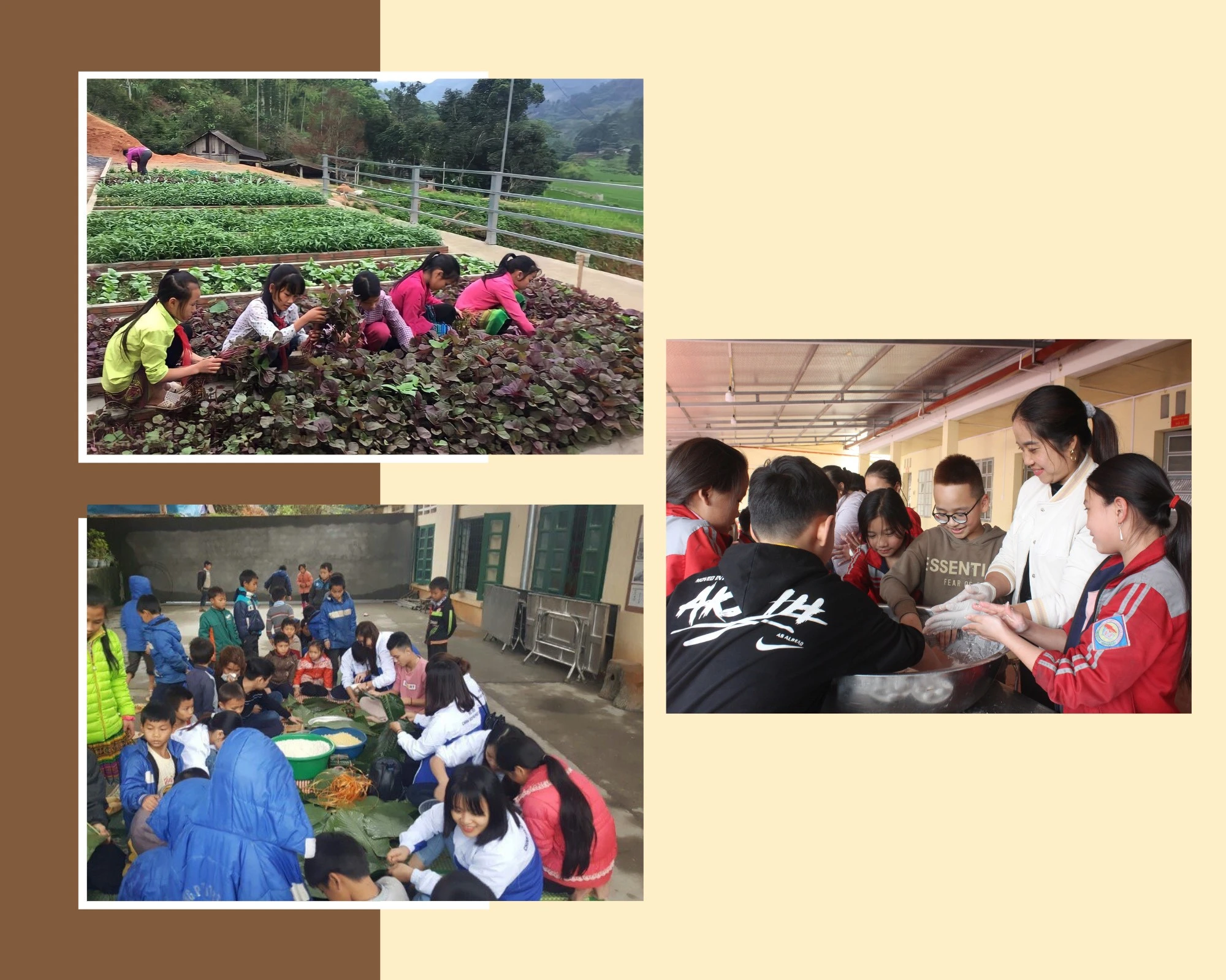 Học sinh hào hứng tham gia các hoạt động ngoại khóa của trường.