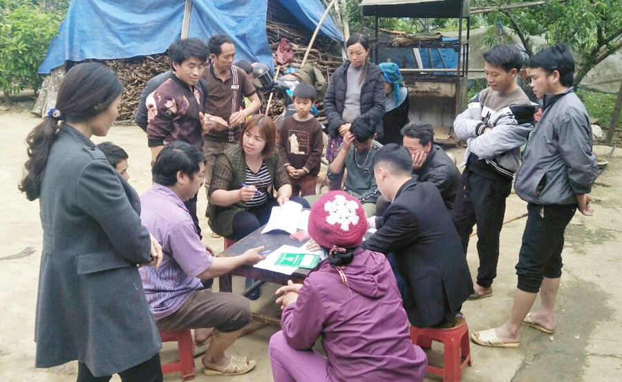 Thoát nghèo từ nguồn vốn chính sách ảnh 2