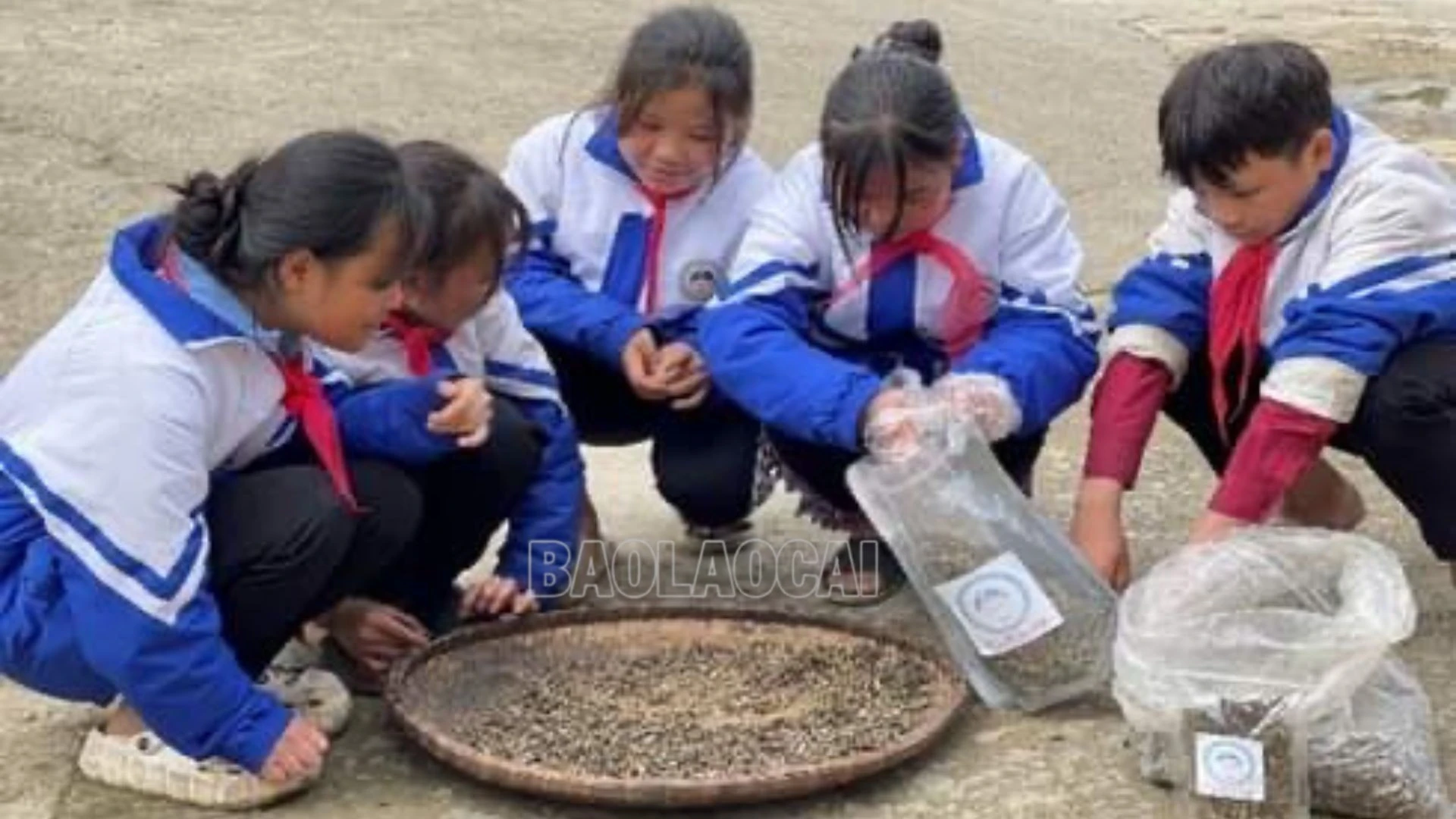 Đoàn học sinh huyện Bắc Hà đoạt giải Ba tại Cuộc thi “Học sinh, sinh viên với ý tưởng khởi nghiệp” toàn quốc lần thứ V ảnh 1