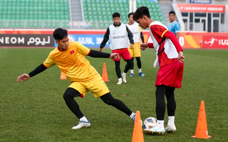 Việt Nam quyết tâm có điểm trước Iran ảnh 1