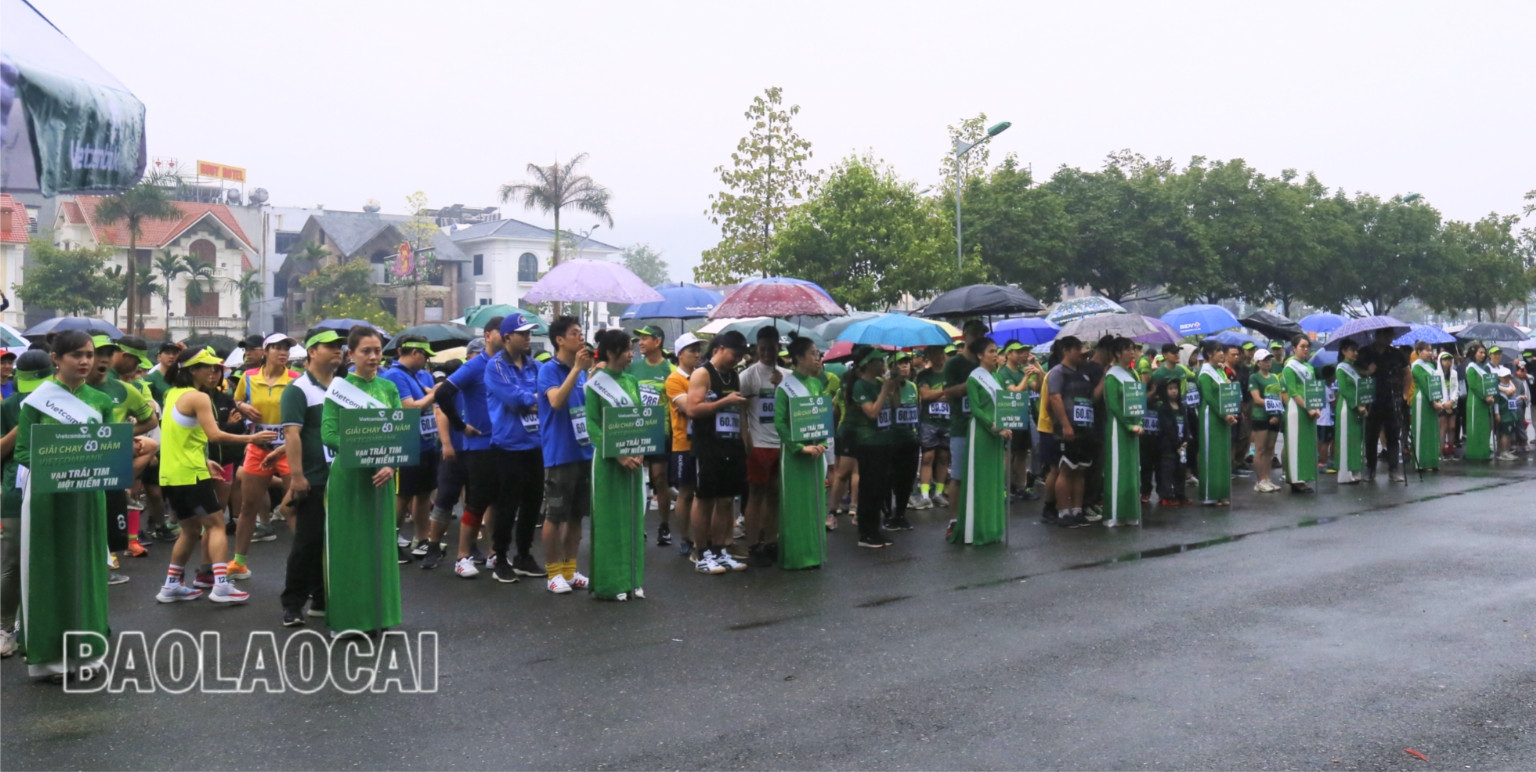 Các vận động viên tham gia giải chạy. Các vận động viên tham gia giải chạy.