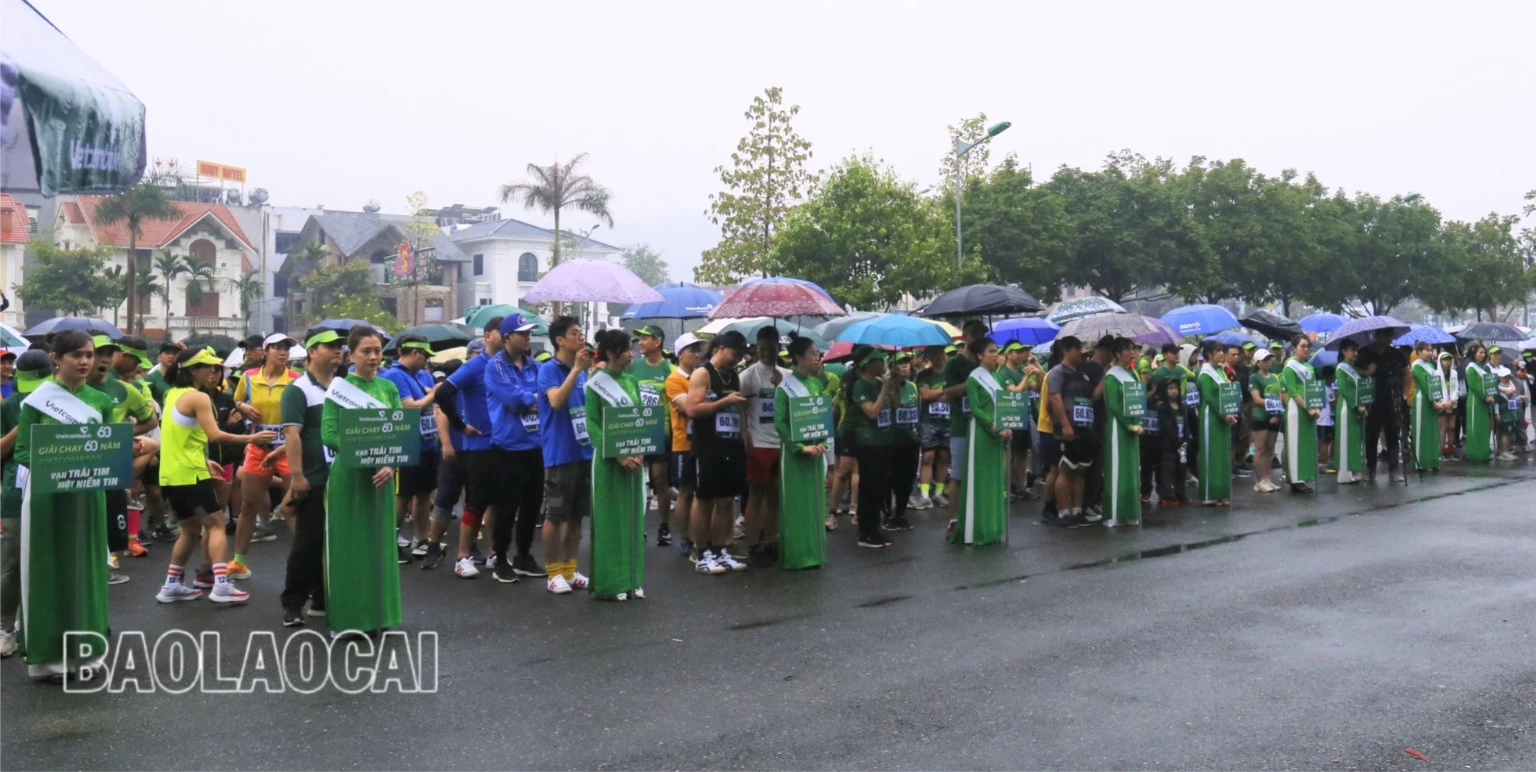 Các vận động viên tham gia giải chạy.