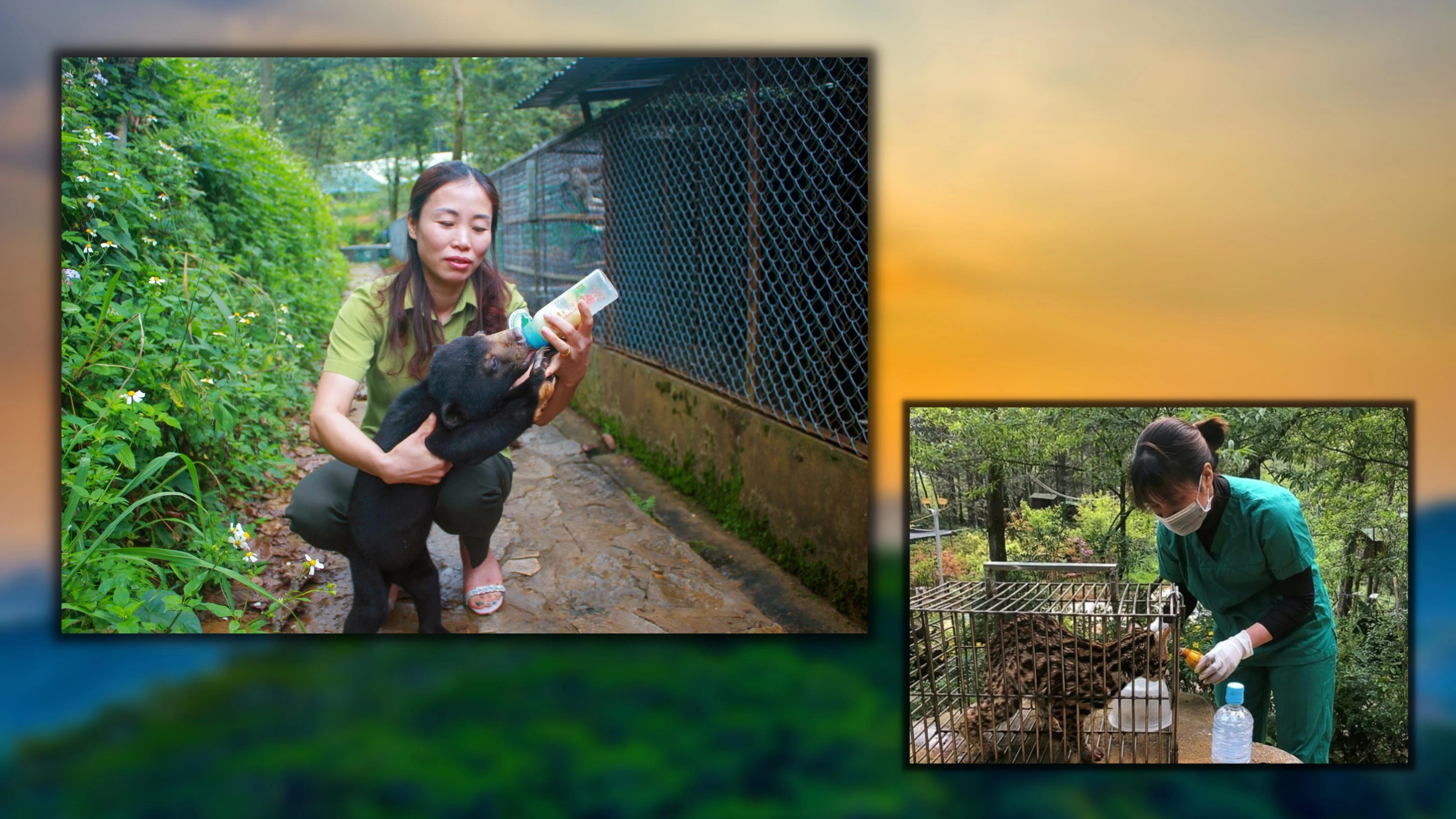 “Ân nhân” của động vật hoang dã ảnh 6