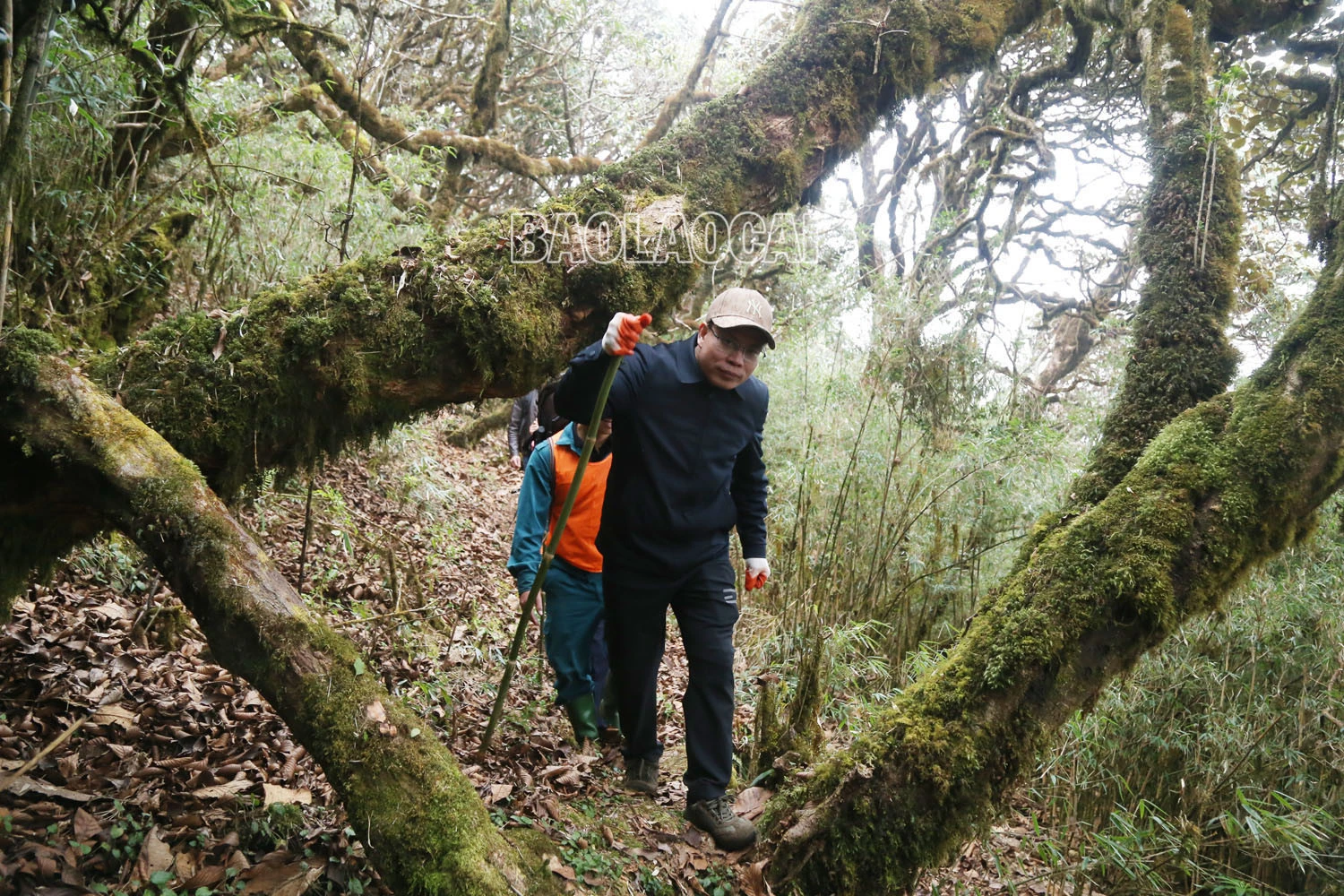 Chinh phục đỉnh Ky Quan San ảnh 10 Chinh phục đỉnh Ky Quan San ảnh 10