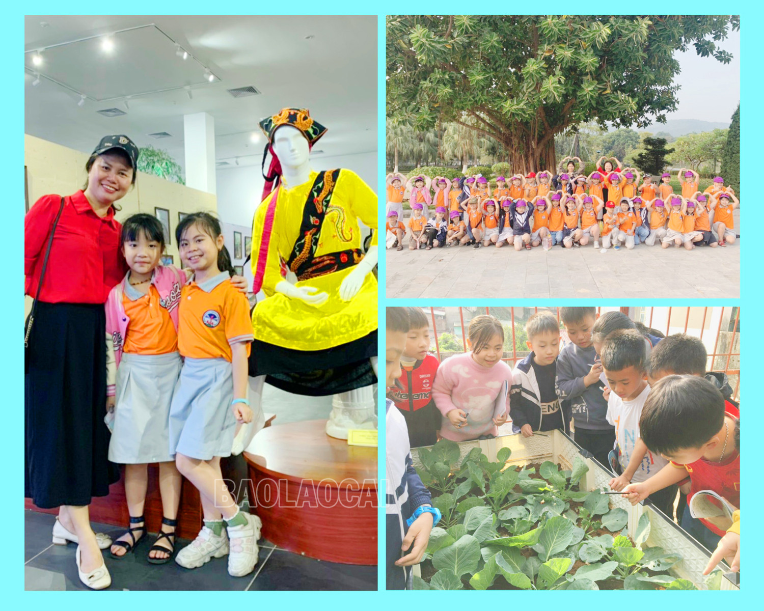 Trong năm học, cô giáo Lê Thị Mùi cùng nhà trường tổ chức cho học sinh tham gia các hoạt động trải nghiệm bổ ích.