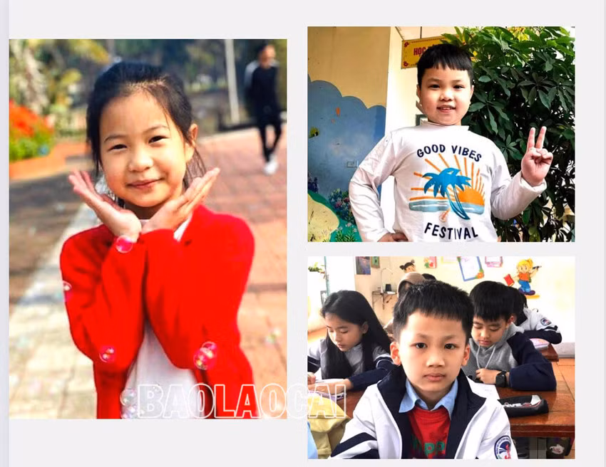 Thành phố Lào Cai có 10 học sinh tiểu học đủ điều kiện dự thi Olympic STEM quốc tế ảnh 1