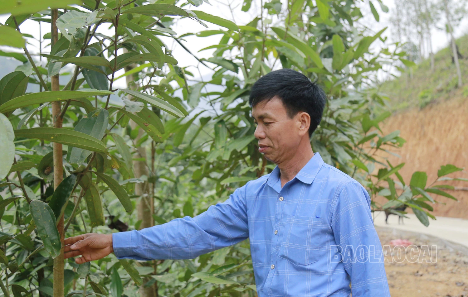 Bí thư Chi bộ Hoàng Văn Mười luôn gương mẫu, đi đầu trong thực hiện các phong trào tại địa phương.