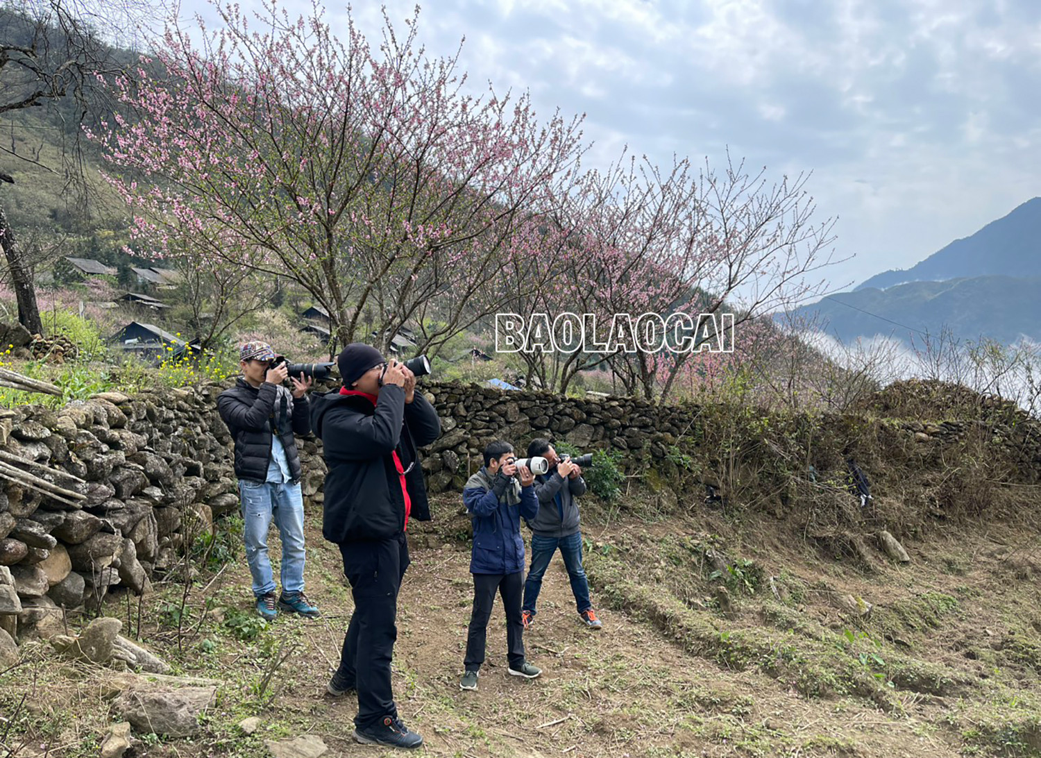Lên Nhìu Cồ San ngắm hoa đào nở muộn ảnh 5 Lên Nhìu Cồ San ngắm hoa đào nở muộn ảnh 5