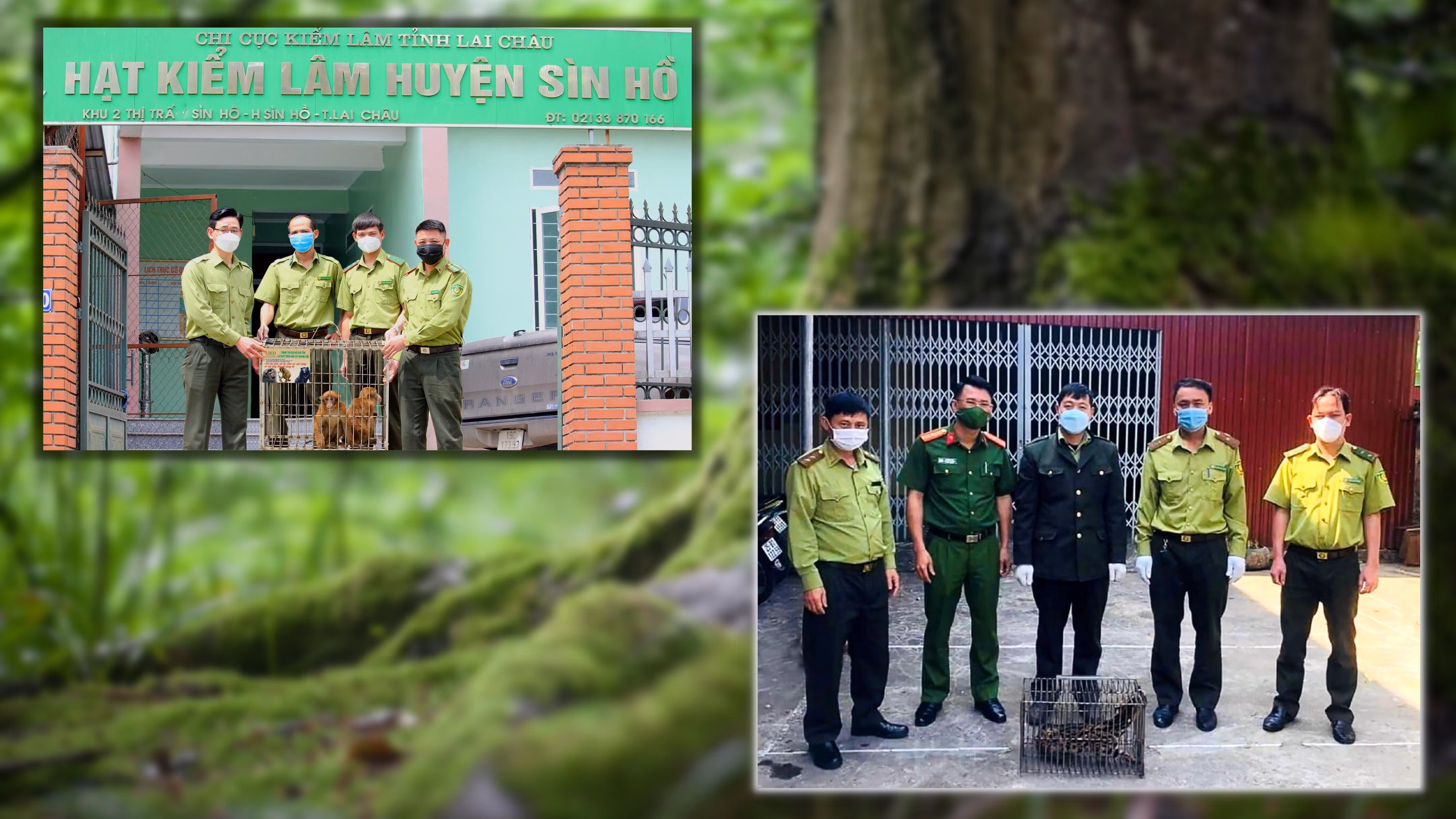 “Ân nhân” của động vật hoang dã ảnh 2 “Ân nhân” của động vật hoang dã ảnh 2