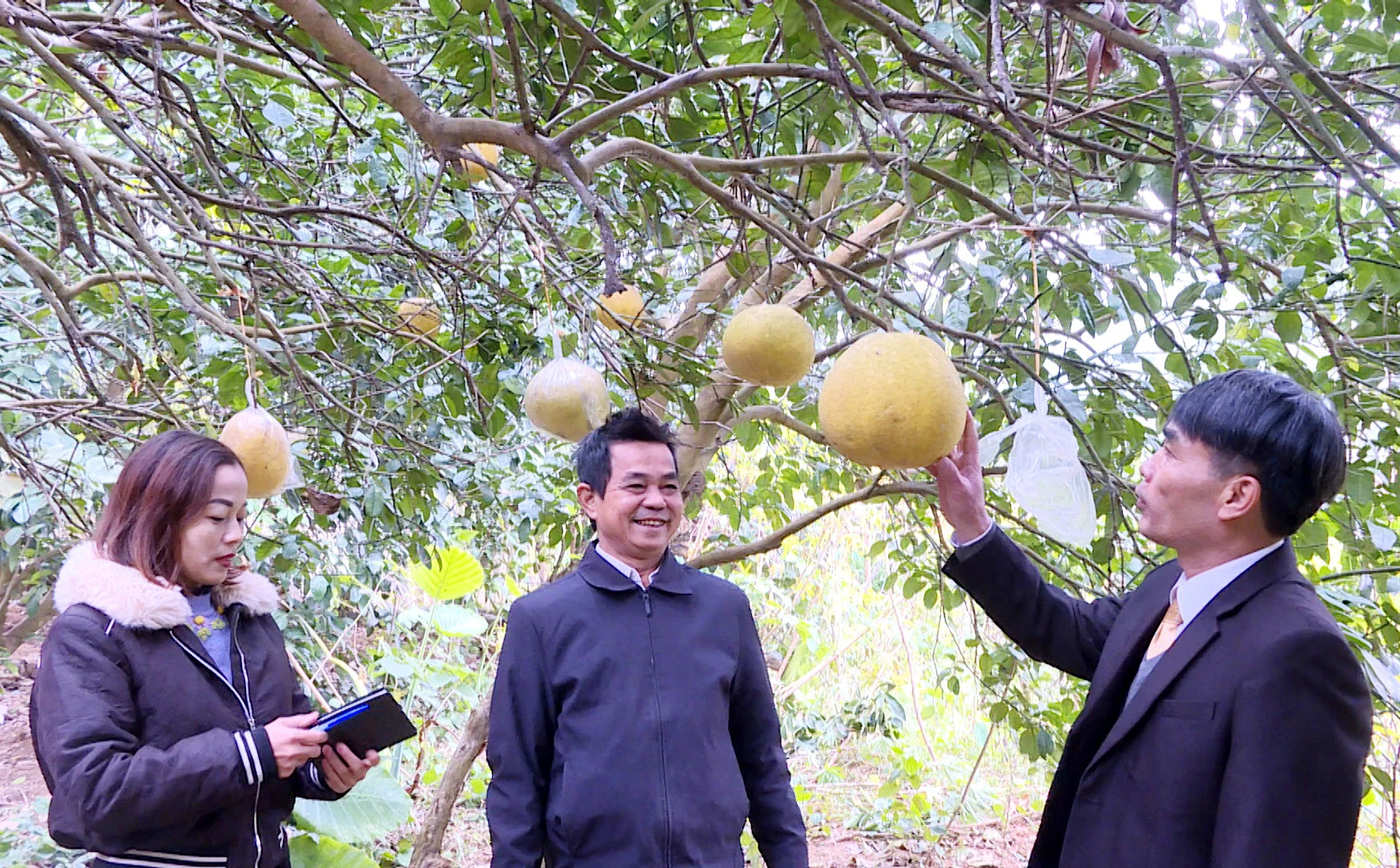 Số hộ đạt tiêu chuẩn sản xuất, kinh doanh giỏi chiếm hơn 16% trong tổng số hộ nông dân toàn xã Xuân Quang.