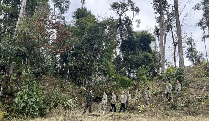 Tập trung ứng phó phòng, chống cháy rừng ảnh 1 Tập trung ứng phó phòng, chống cháy rừng ảnh 1