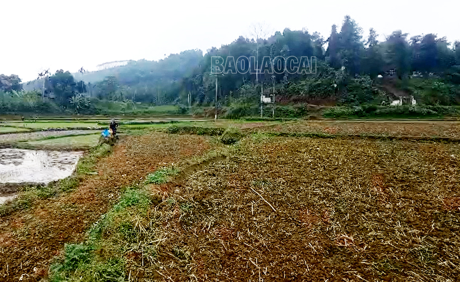 Cần có giải pháp duy trì dòng chảy tối thiểu tại các nhà máy thủy điện ảnh 1