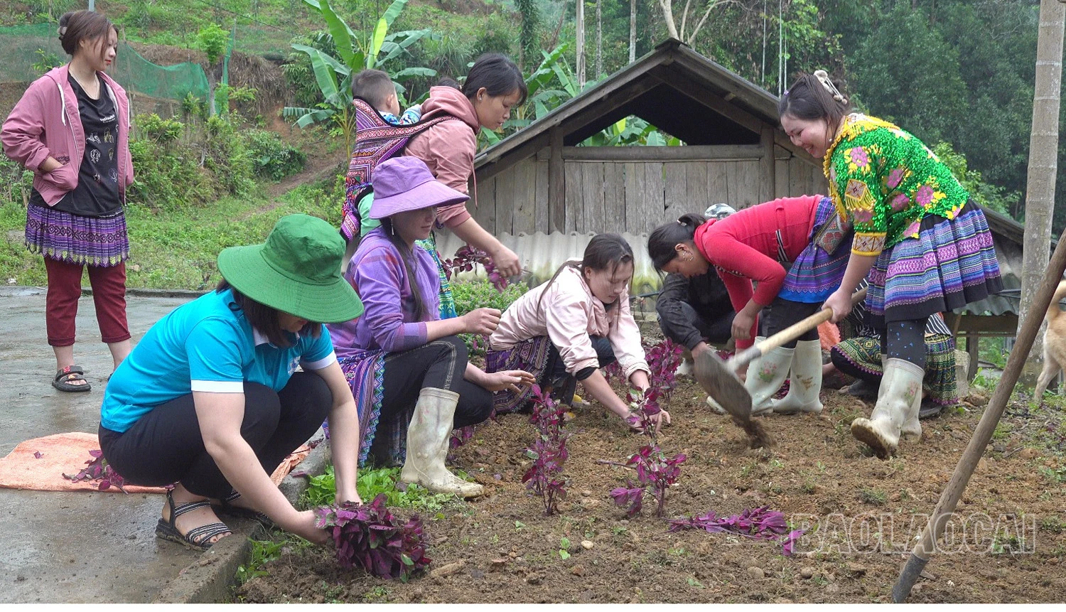 Ngay sau lễ phát động, đại biểu và Nhân dân ra quân thực hiện nhiều hoạt động thiết thực, góp phần giữ gìn vệ sinh, bảo vệ môi trường sống.