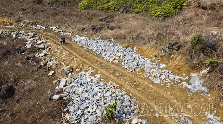 Triển khai Chương trình MTQG DTTS và miền núi với quyết tâm cao nhất ảnh 3