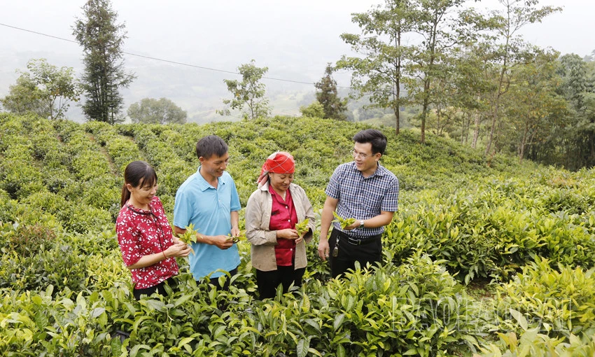 Triển khai Chương trình MTQG DTTS và miền núi với quyết tâm cao nhất ảnh 6