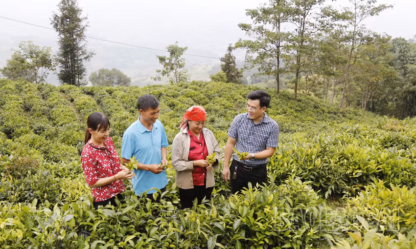 Triển khai Chương trình MTQG DTTS và miền núi với quyết tâm cao nhất ảnh 6