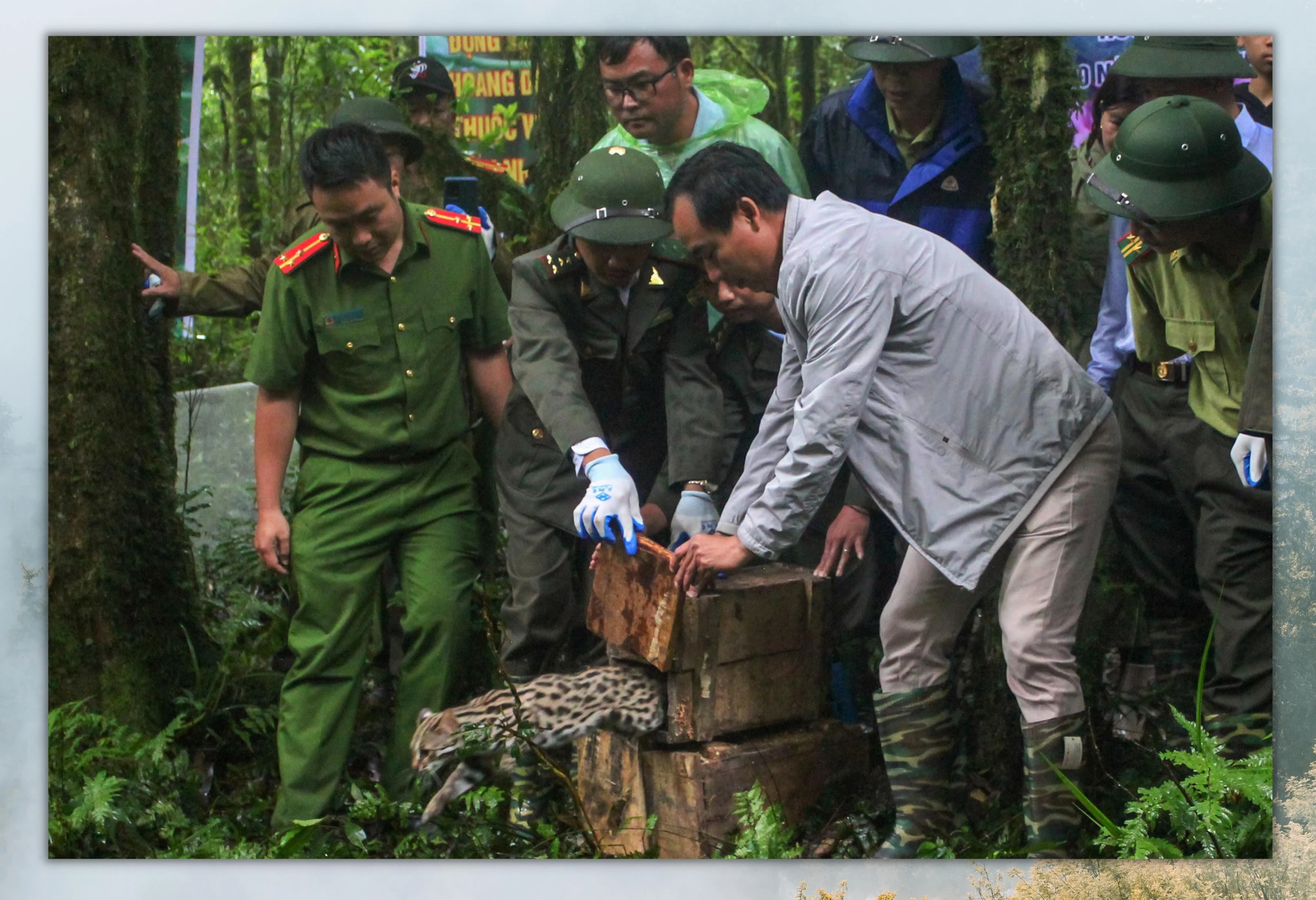 “Ân nhân” của động vật hoang dã ảnh 4