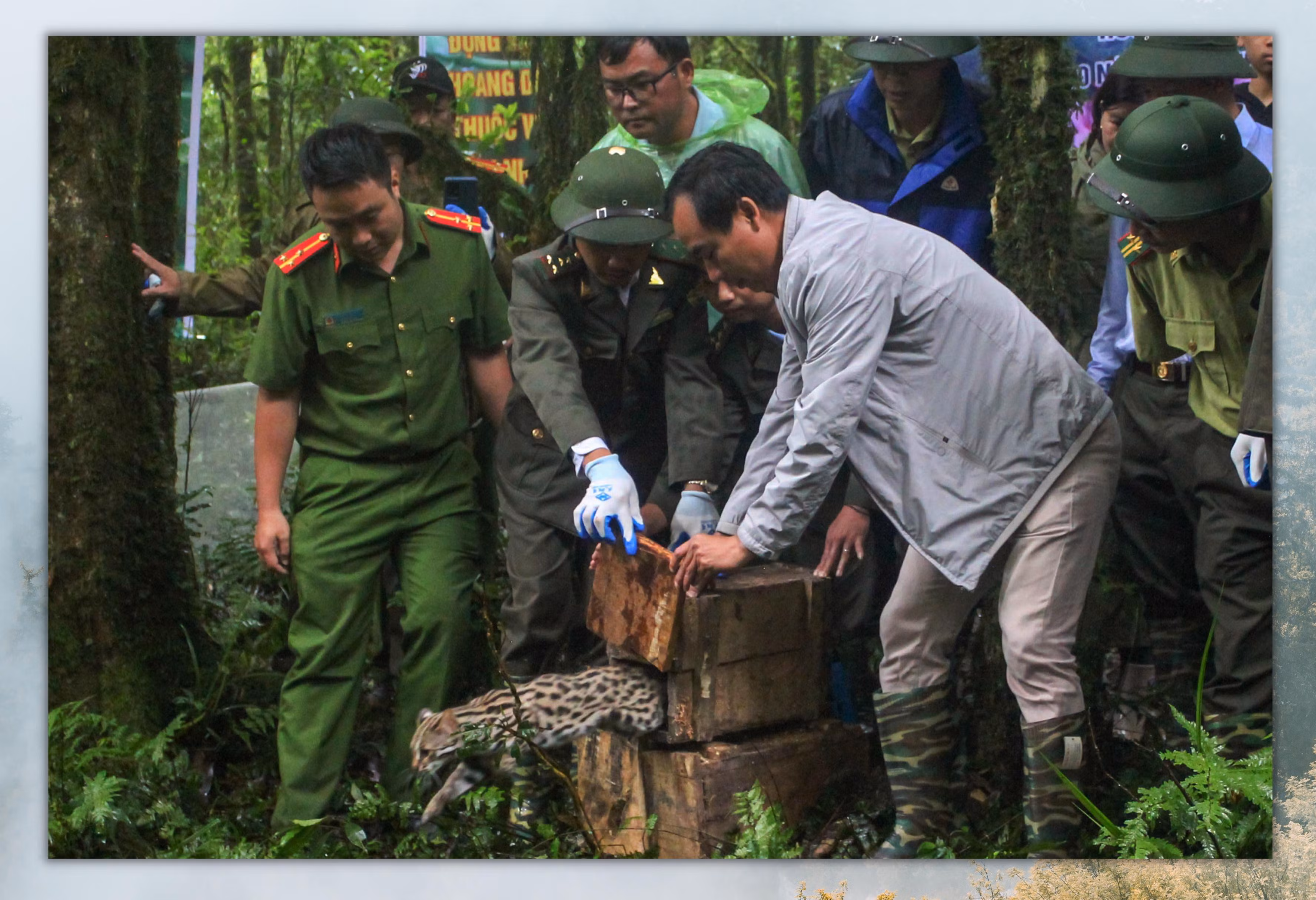 “Ân nhân” của động vật hoang dã ảnh 4 “Ân nhân” của động vật hoang dã ảnh 4