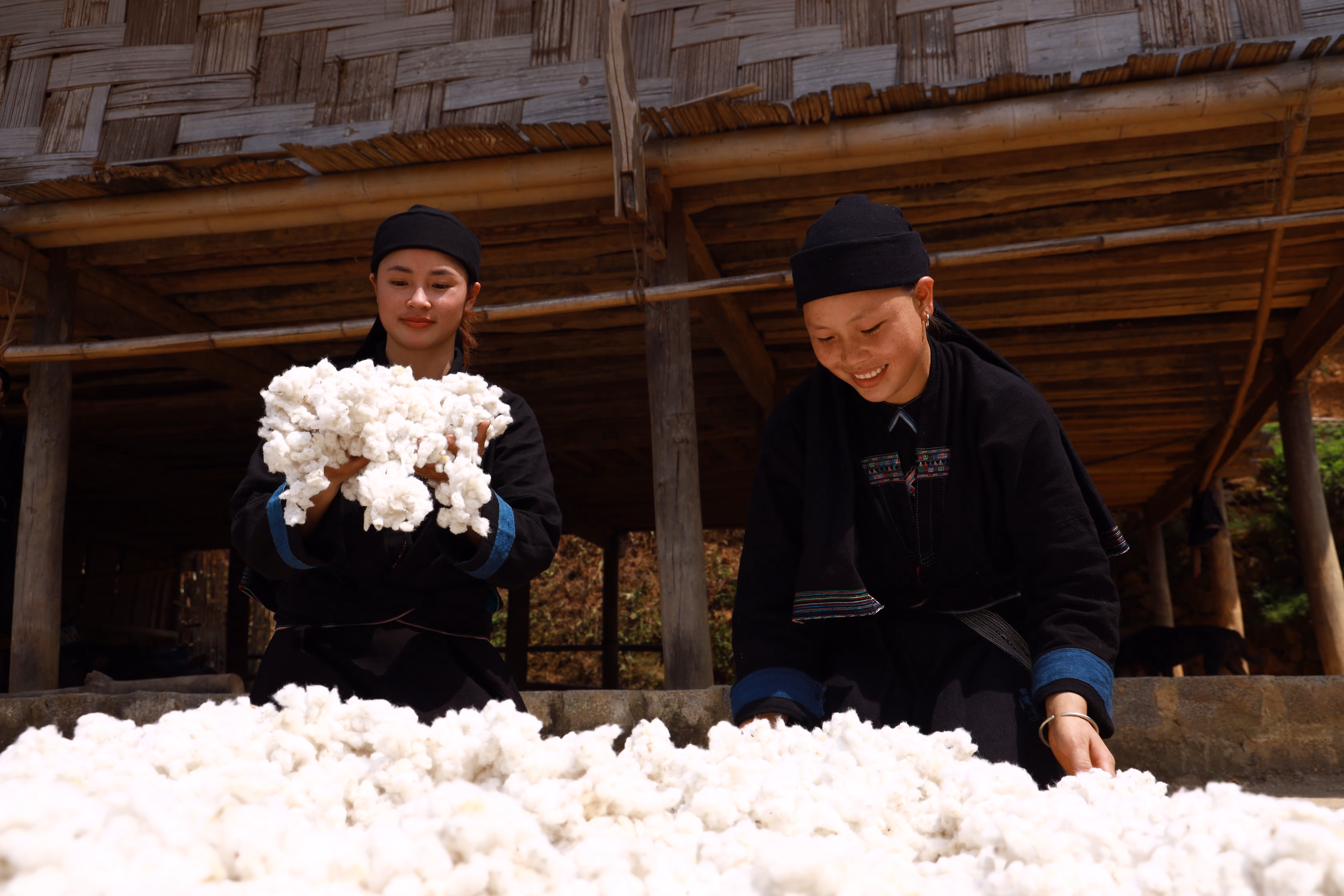 Đồng bào La Chí ở Nậm Khánh (Bắc Hà) vẫn duy trì việc trồng bông, dệt vải. Ảnh: Đức Trung (Đài PT - TH tỉnh). Đồng bào La Chí ở Nậm Khánh (Bắc Hà) vẫn duy trì việc trồng bông, dệt vải. Ảnh: Đức Trung (Đài PT - TH tỉnh).