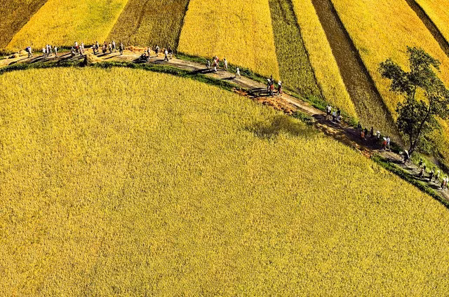 Xây dựng nông thôn có một sức sống mới - Ảnh 1.