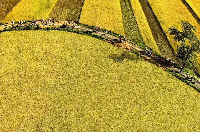 Xây dựng nông thôn có một sức sống mới - Ảnh 1.