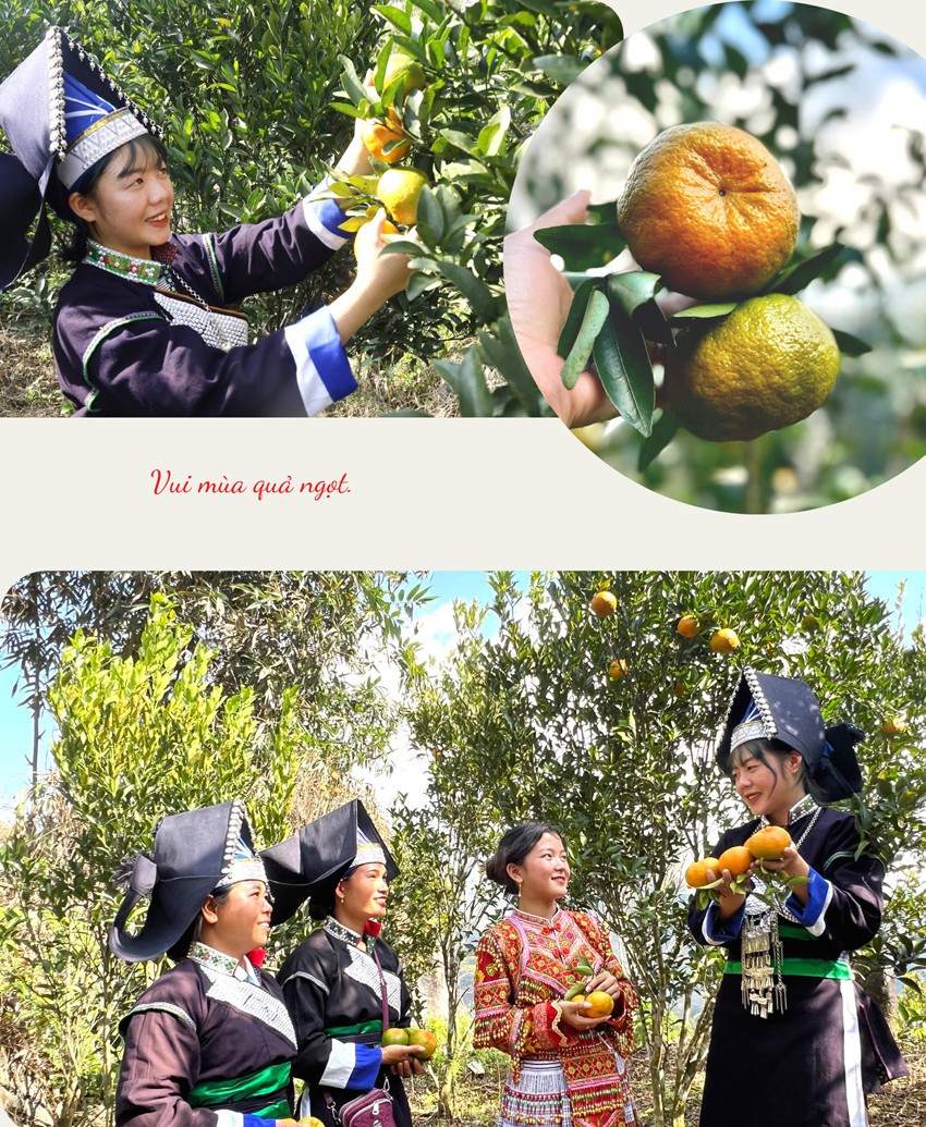 Cờ bay trên đỉnh Cô Tiên ảnh 7